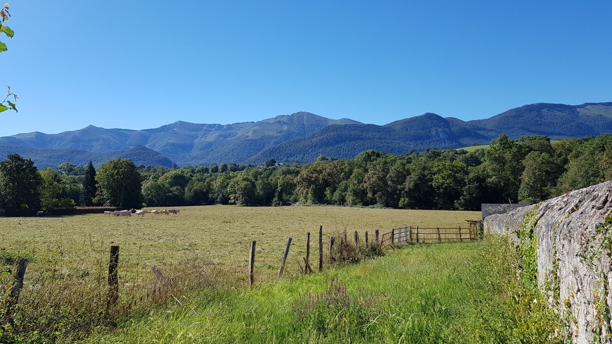 En partant de la gauche, le Merdanson, le Durban & le Mail au centre.De 1540m à 1700m environ.