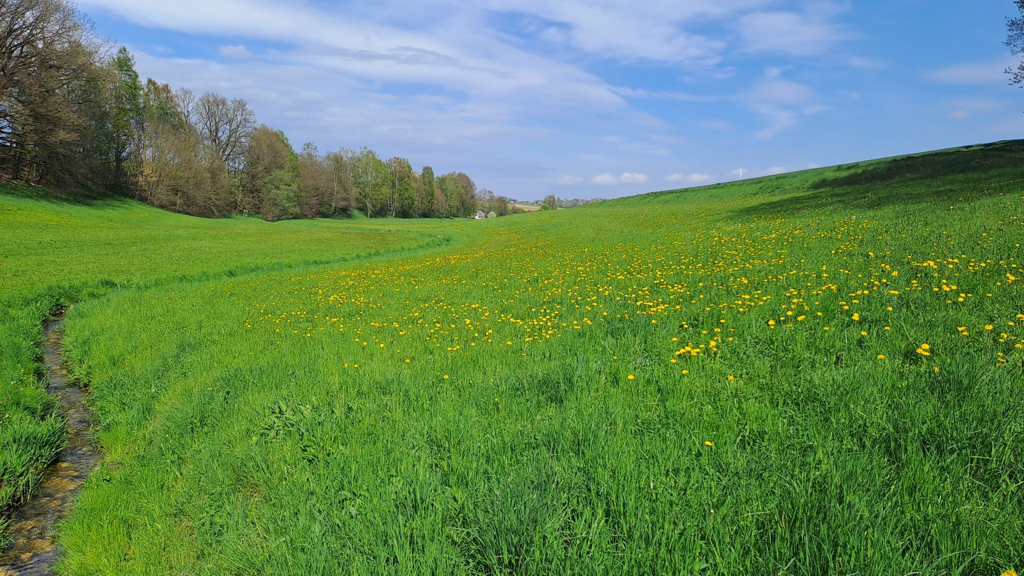 Flittterbachtal