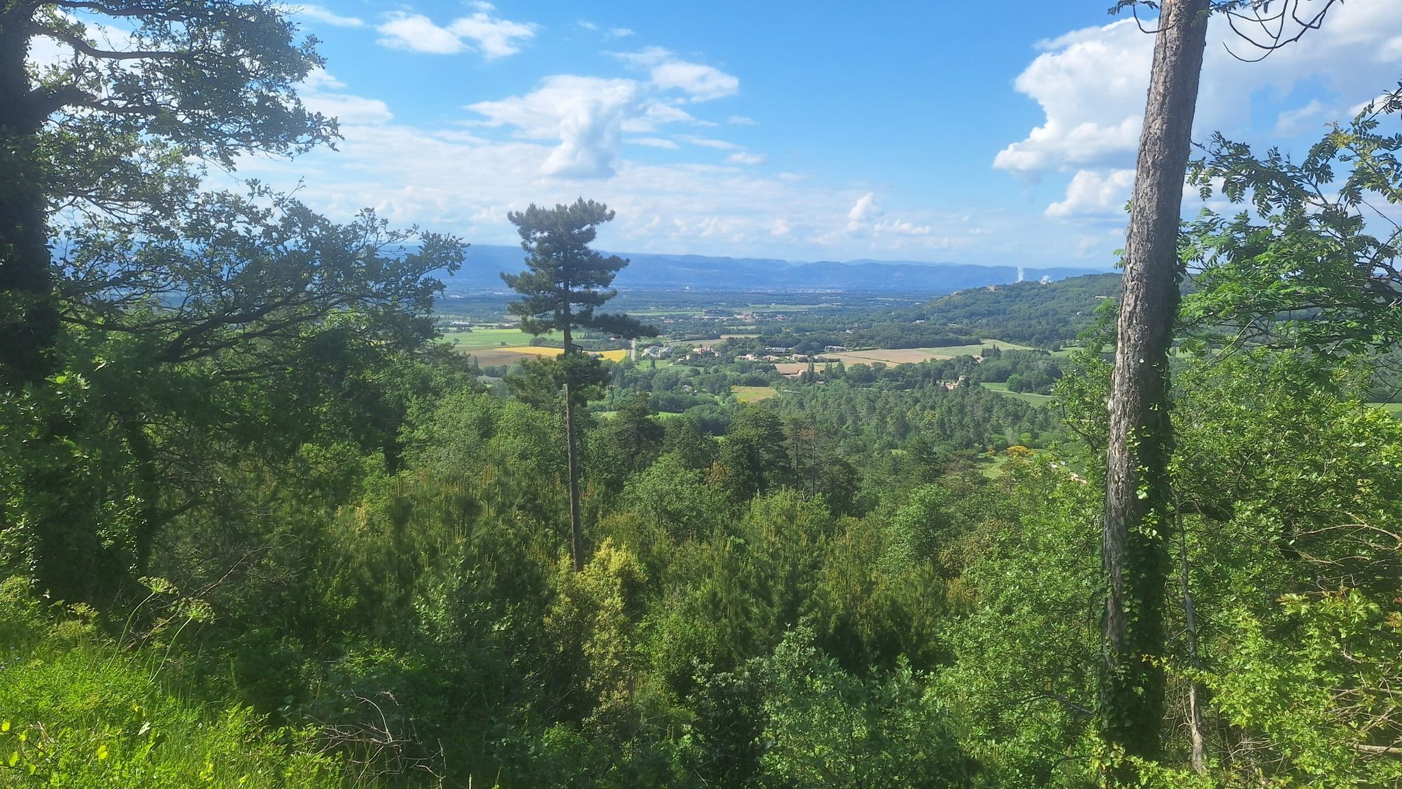 Vue sur la plaine de Montélimar et la vallée du Rhône.