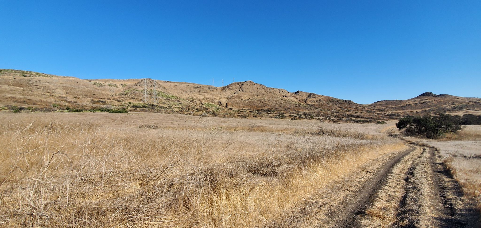 Wide open dry grassy field with distant hills under a clear bright blue sky. - View from Western Plateau – Vista Point loop from Conejo Canyons Open Space