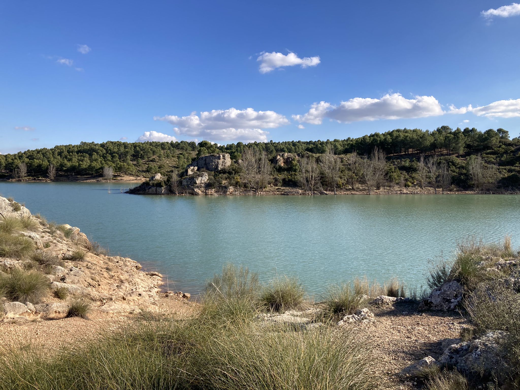 Pantano (embalse) de Almansa