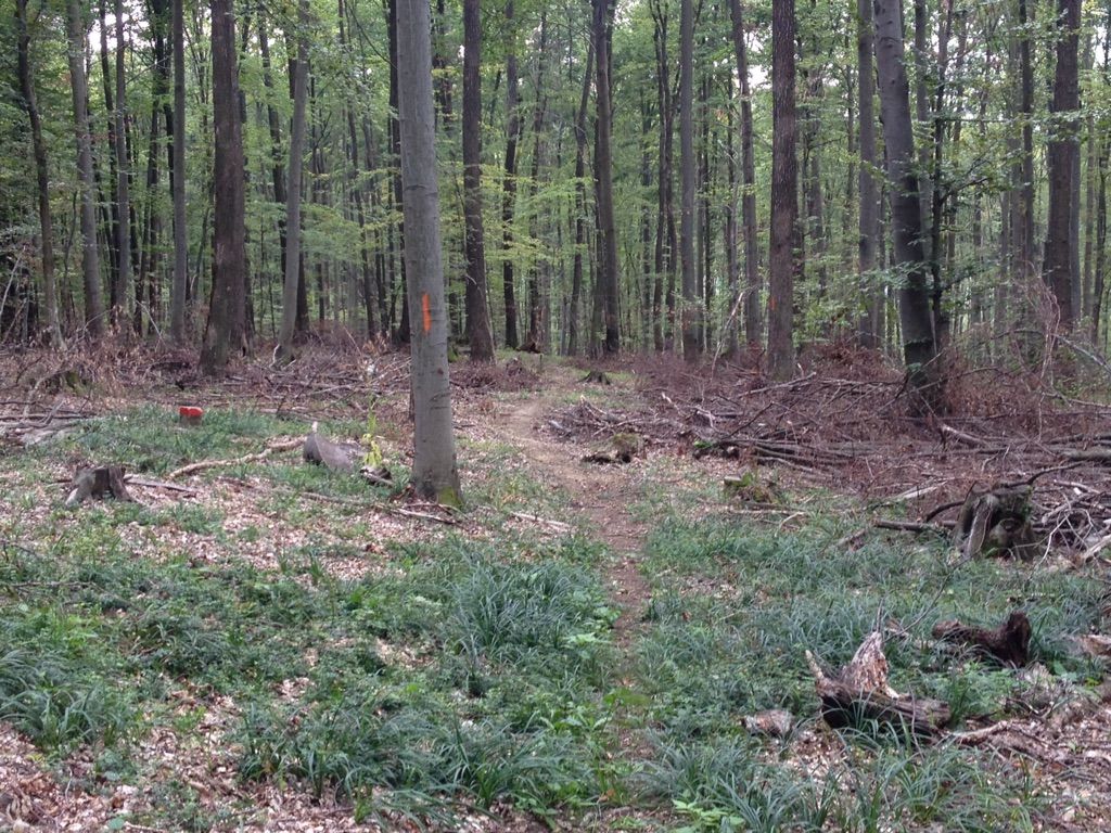 Sigle track oranzova znacka