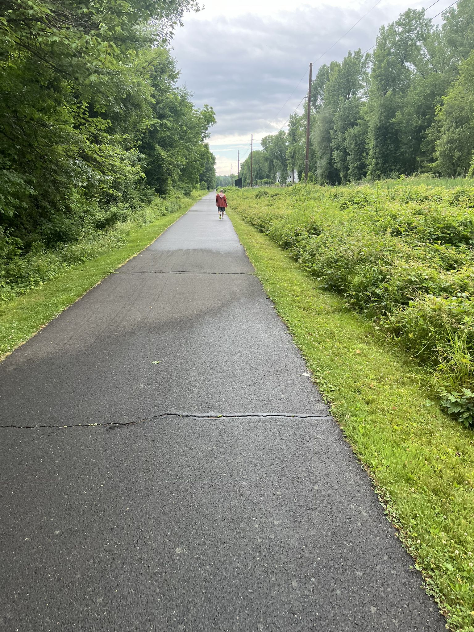 Paved path with a person walking, surrounded by lush green foliage on an overcast day. - Joseph B. Clarke Rail-Trail