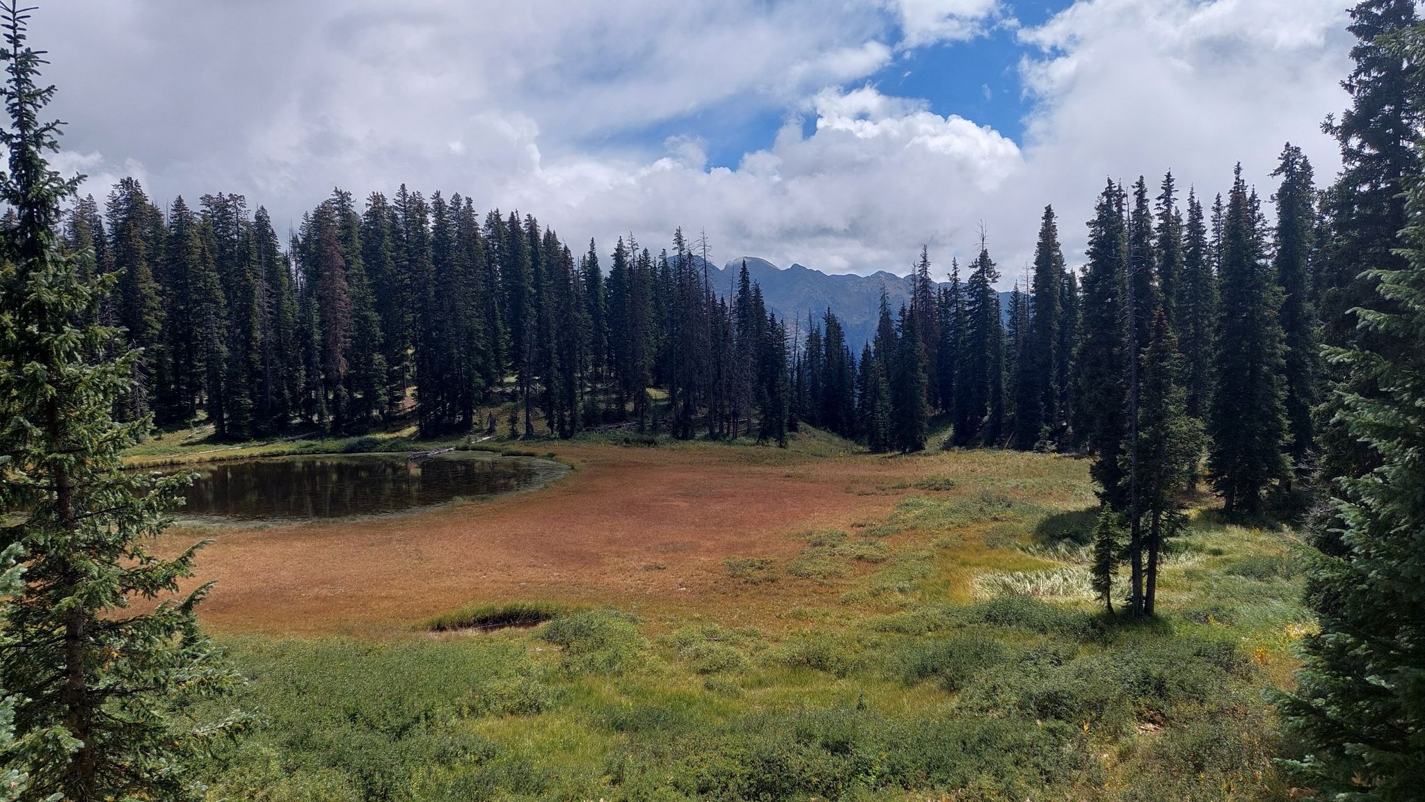 A small lake and meadow surrounded by dense evergreen forest under a cloudy sky. - Engineer Mountain and Pass Creek Trail Loop