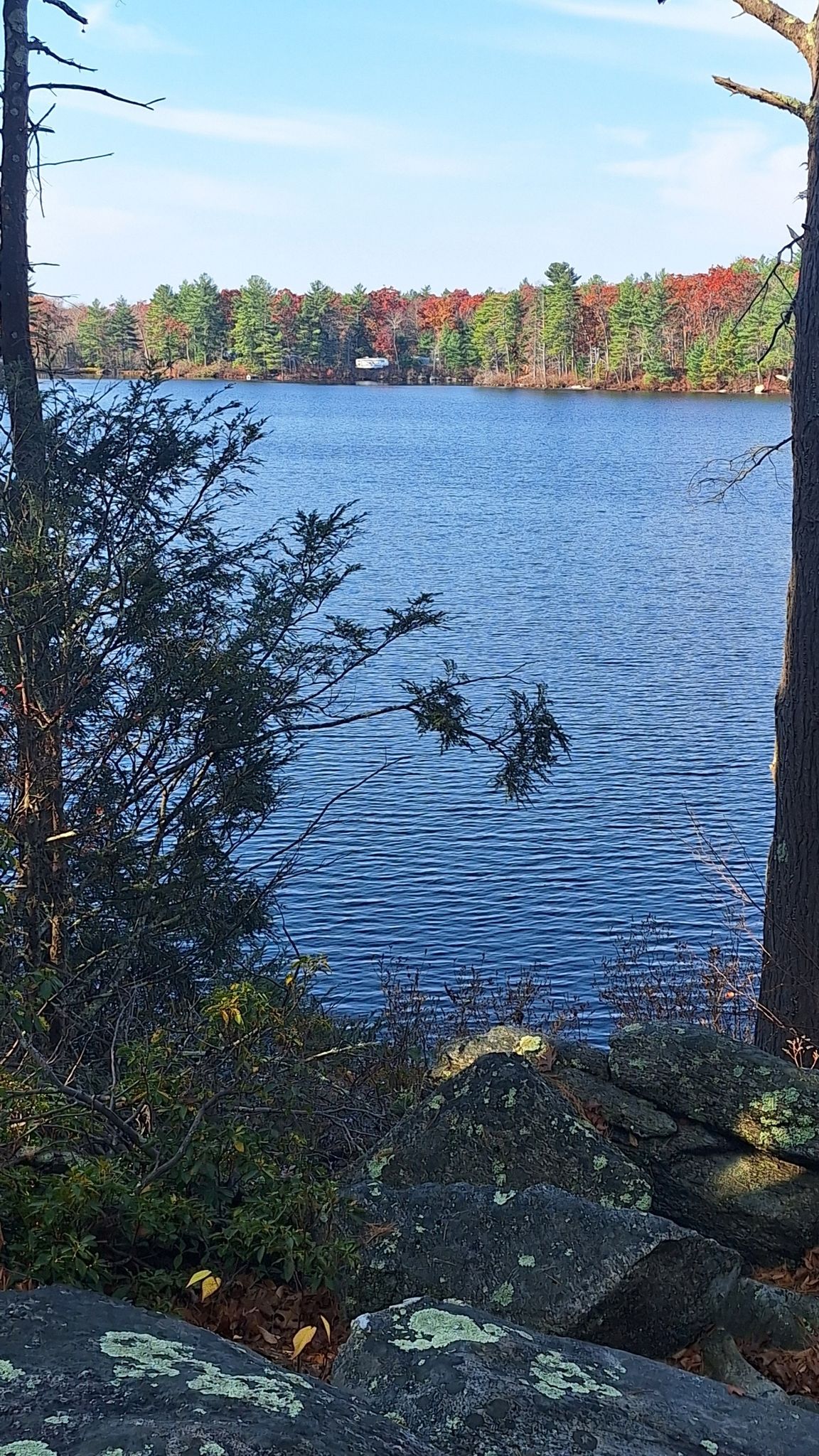 Blue lake with autumn trees, framed by rocks and evergreen branches. - Running loop from George Washington Memorial State Forest