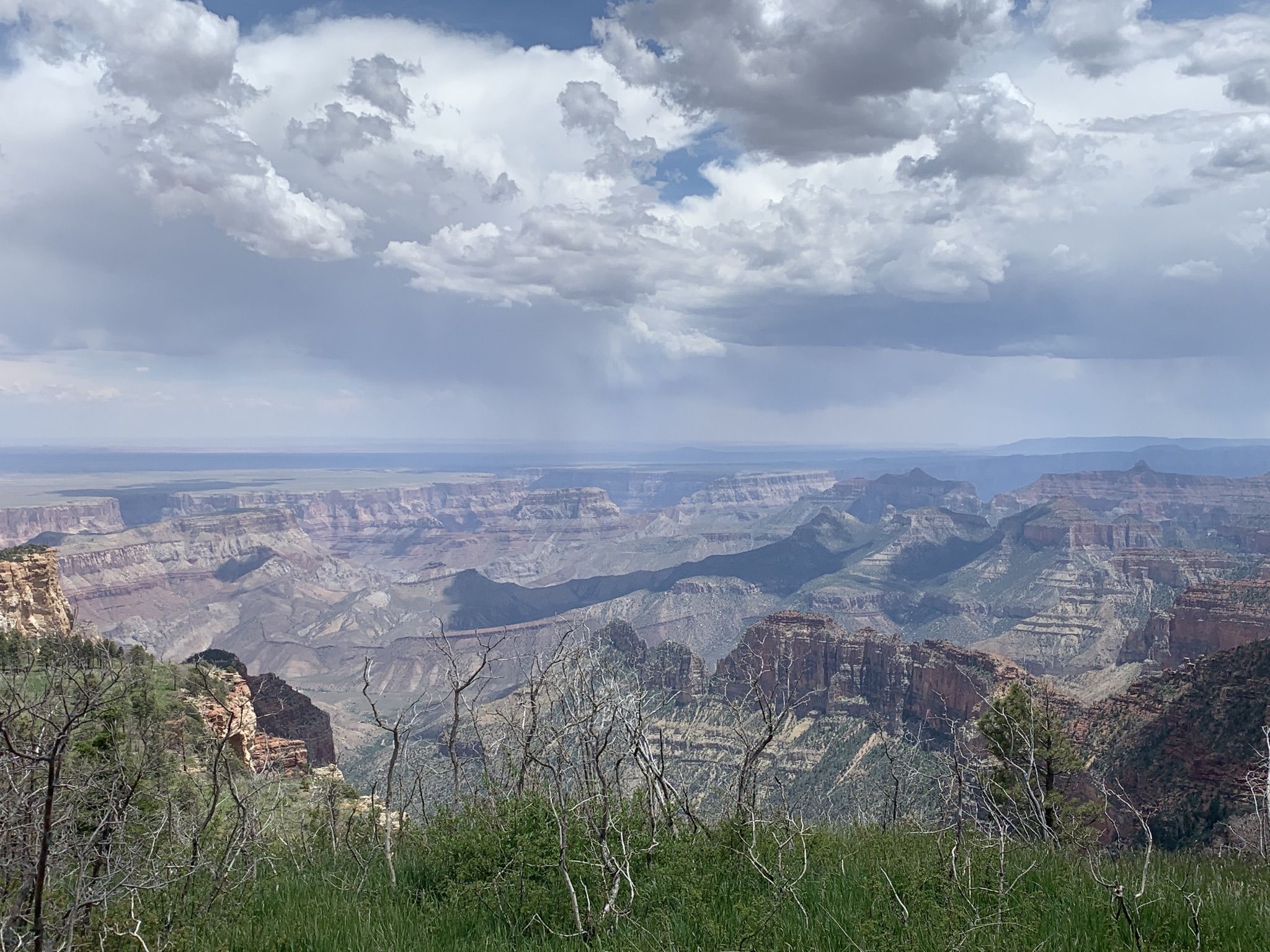 Grand Canyon View