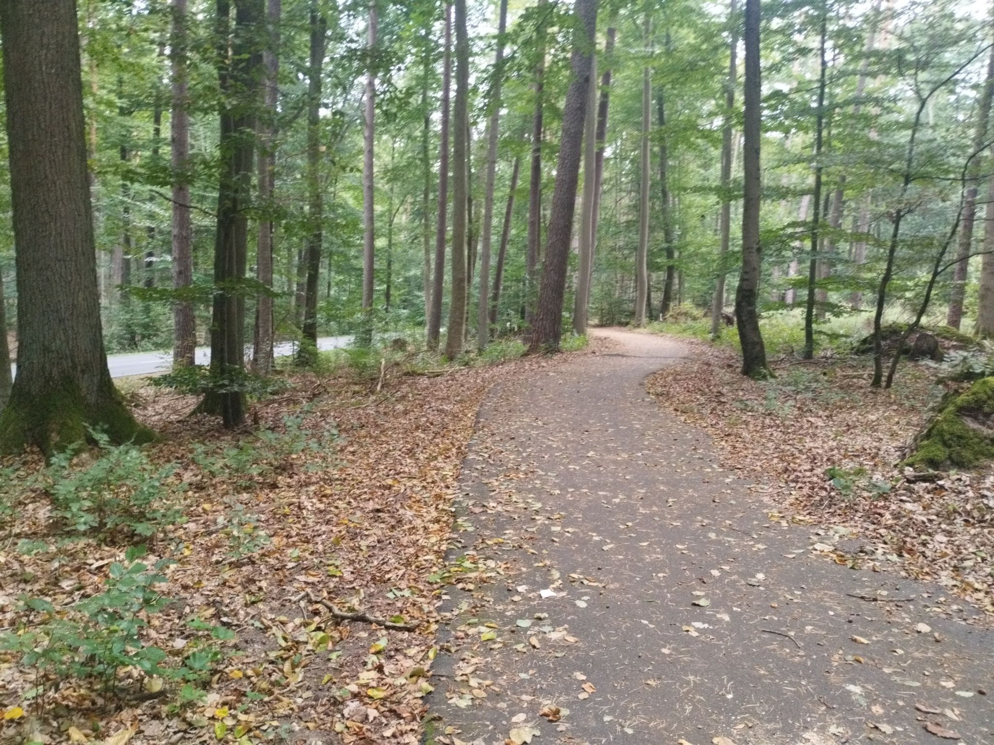 Radweg an der B122