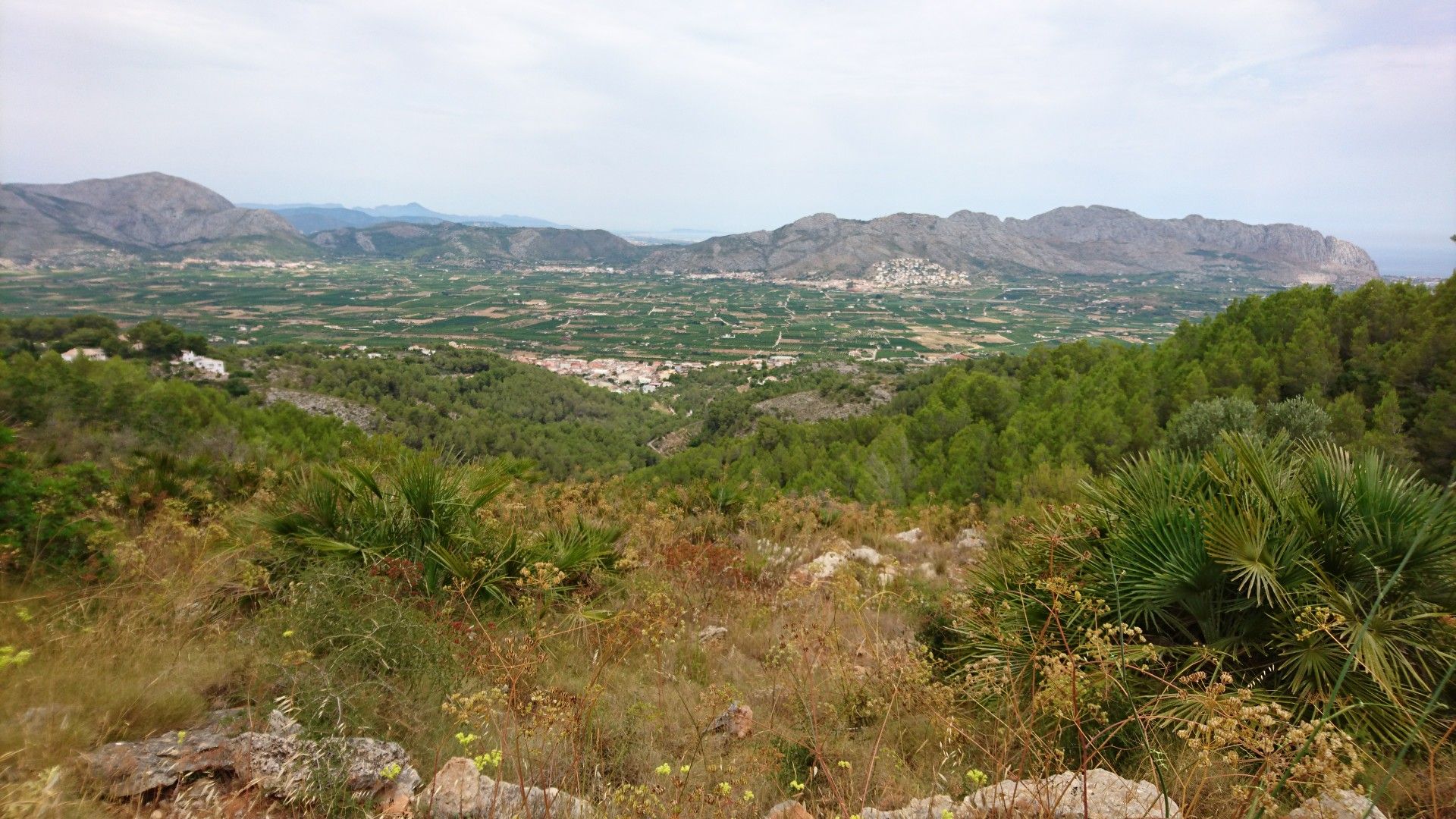 Aussicht auf Oliva