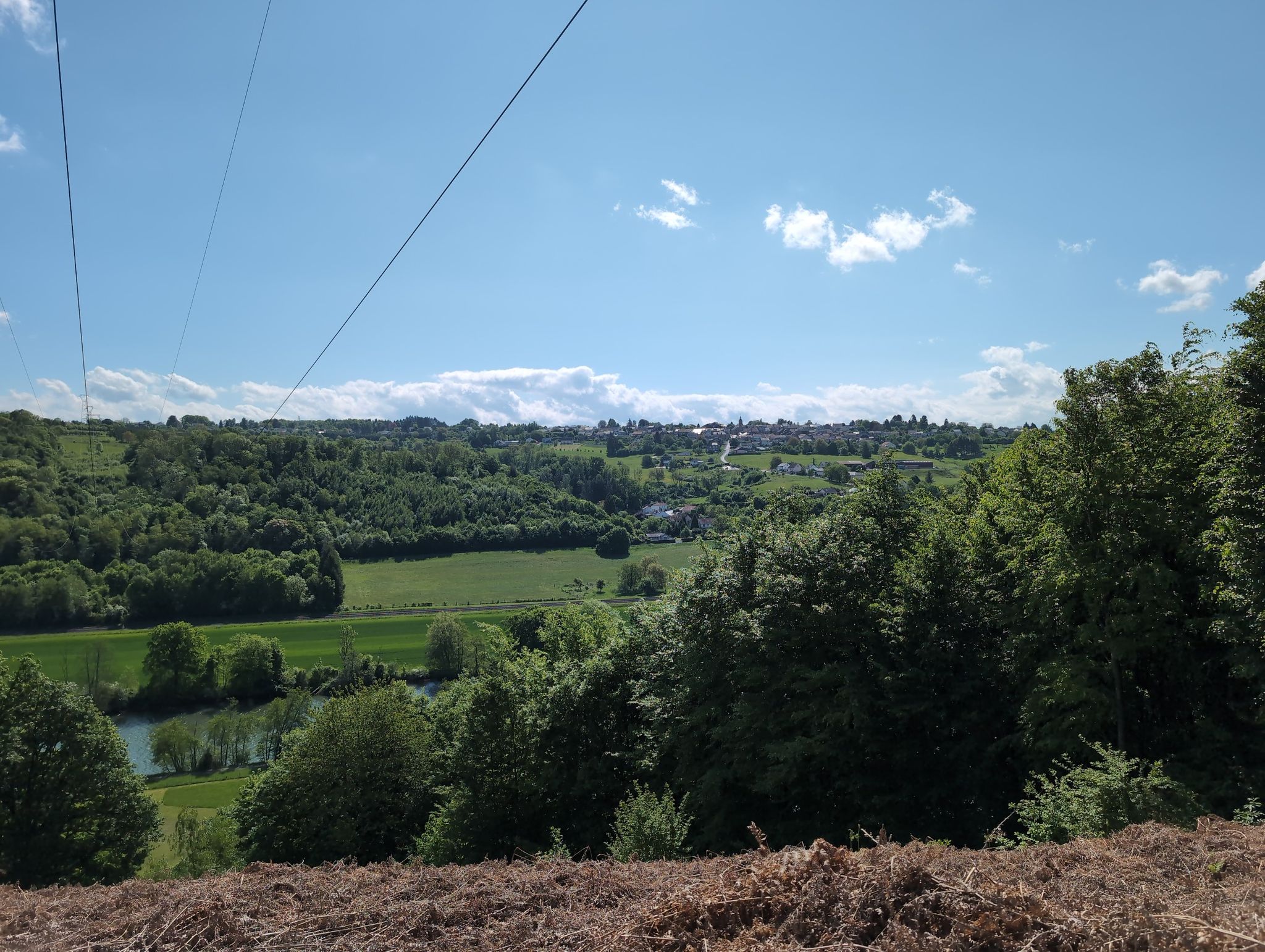 view
