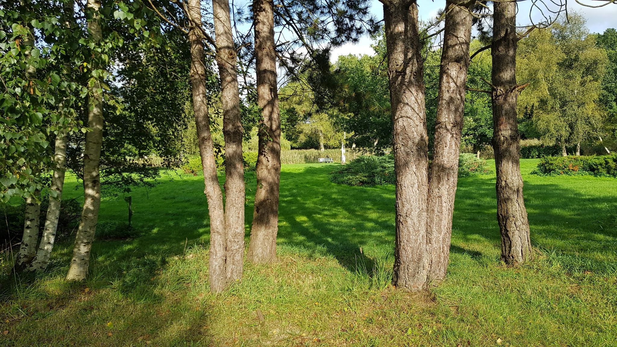 Alte Gehölze und Wiesen im Kurpark