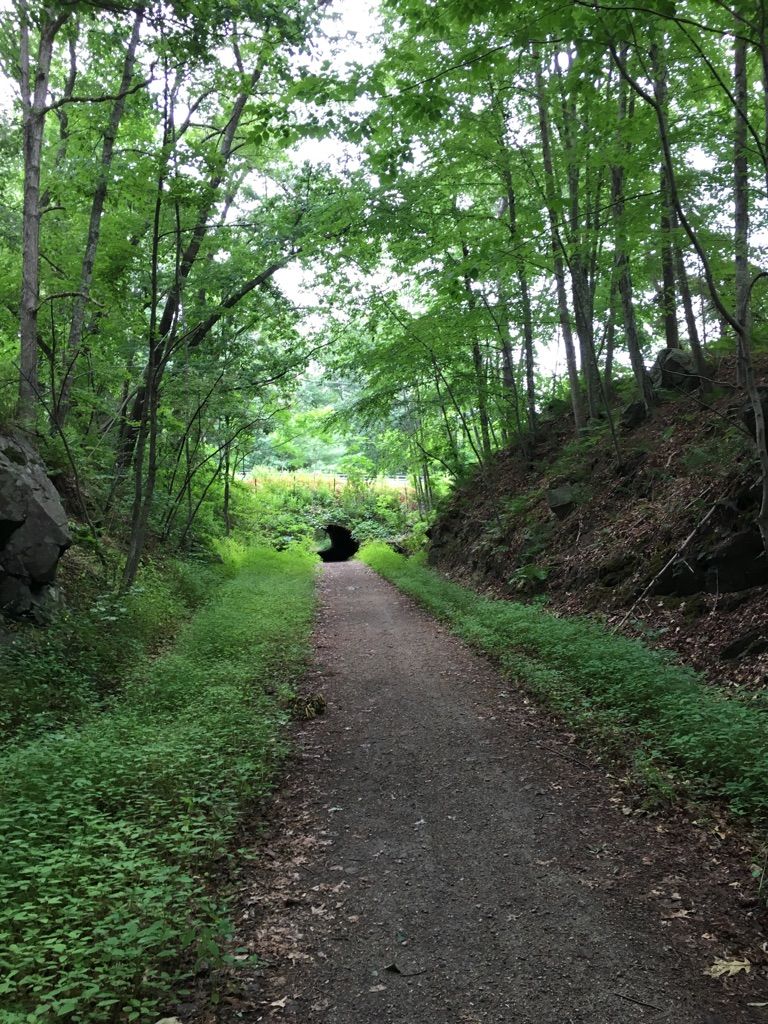 A shaded dirt path leads through a dense green forest towards a dark tunnel. - Rockingham Recreational Rail Trail