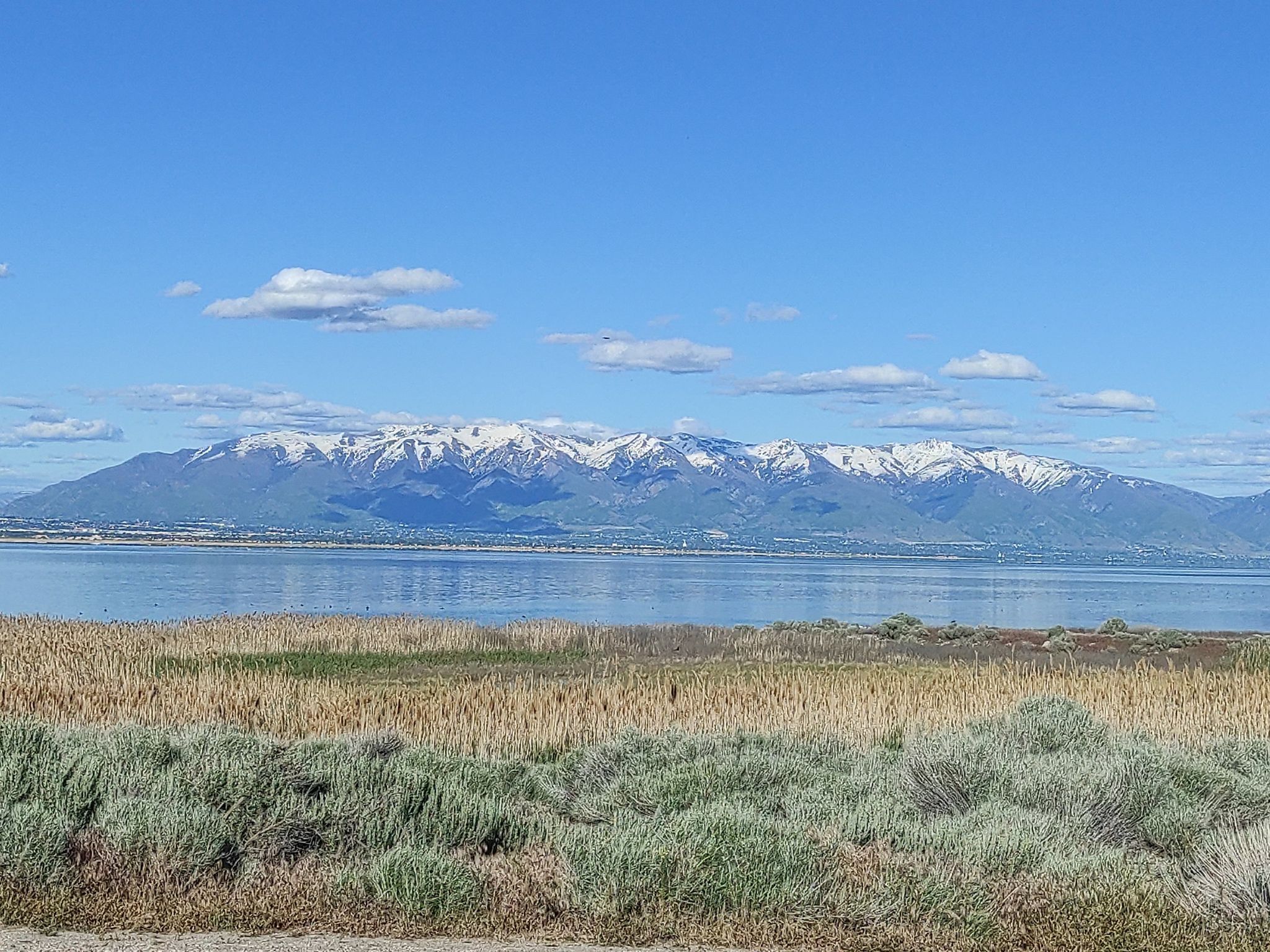 Bright view of snow-capped mountains across a wide lake and marshy foreground. - Antelope Island State Park from Syracuse