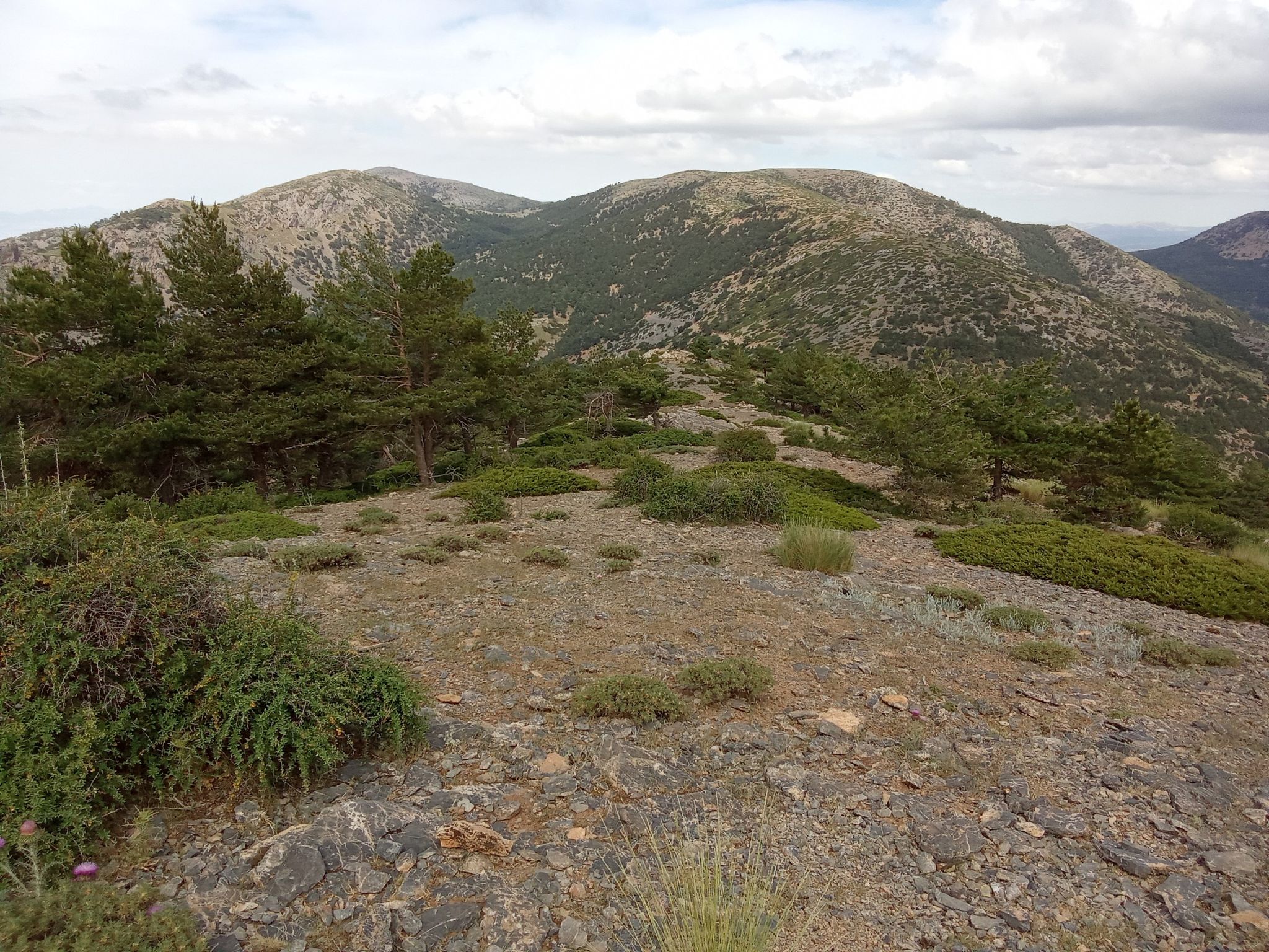 Cerro del Calar y Tejoletas ....