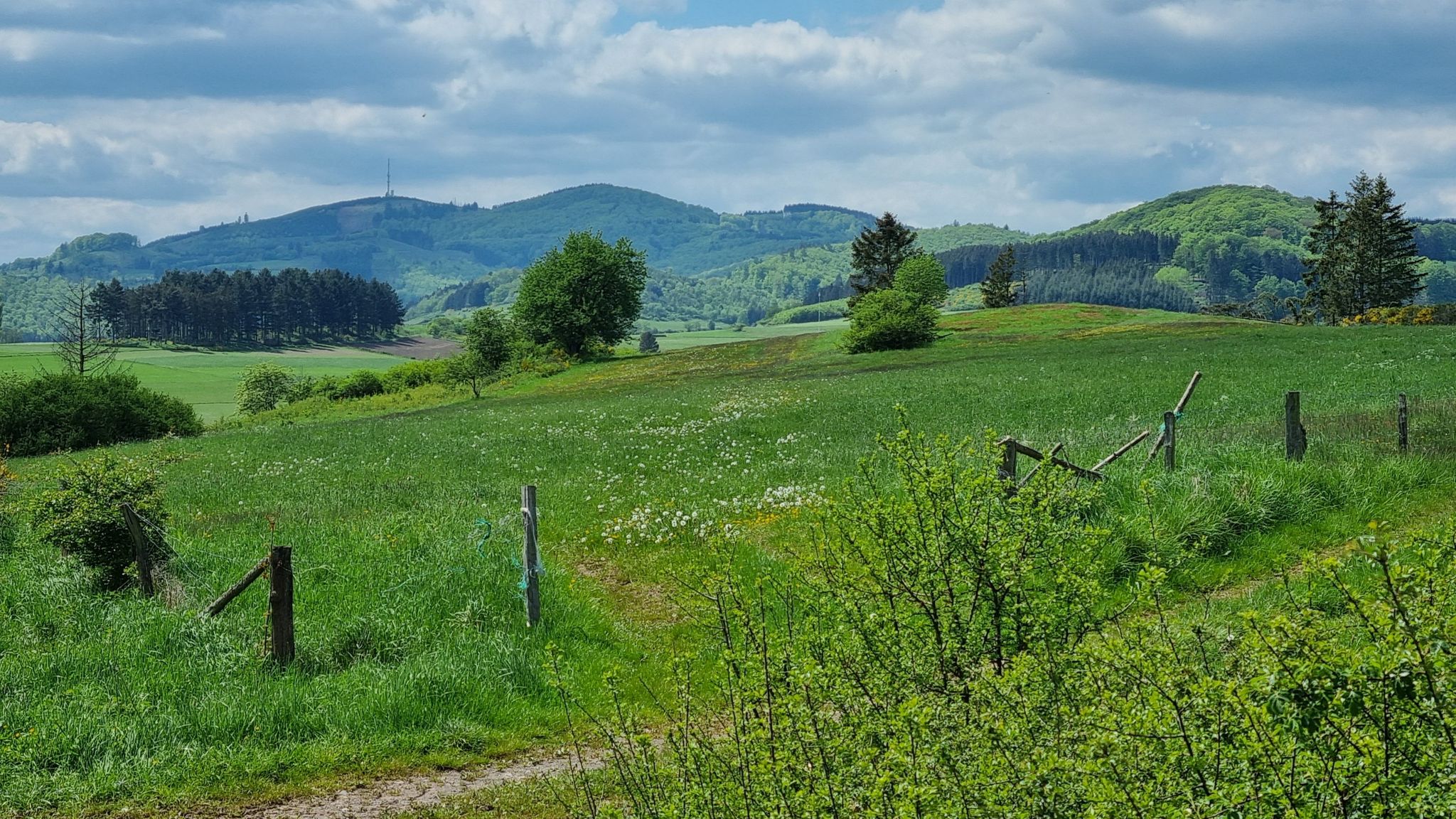 Das Rothaargebirge kommt in den Blick