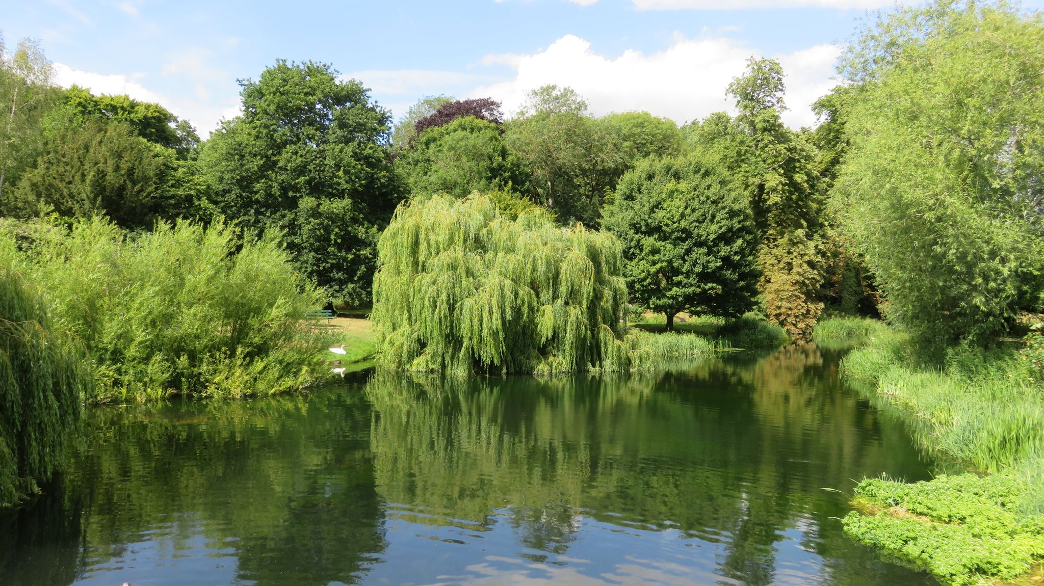 Grantchester Mill