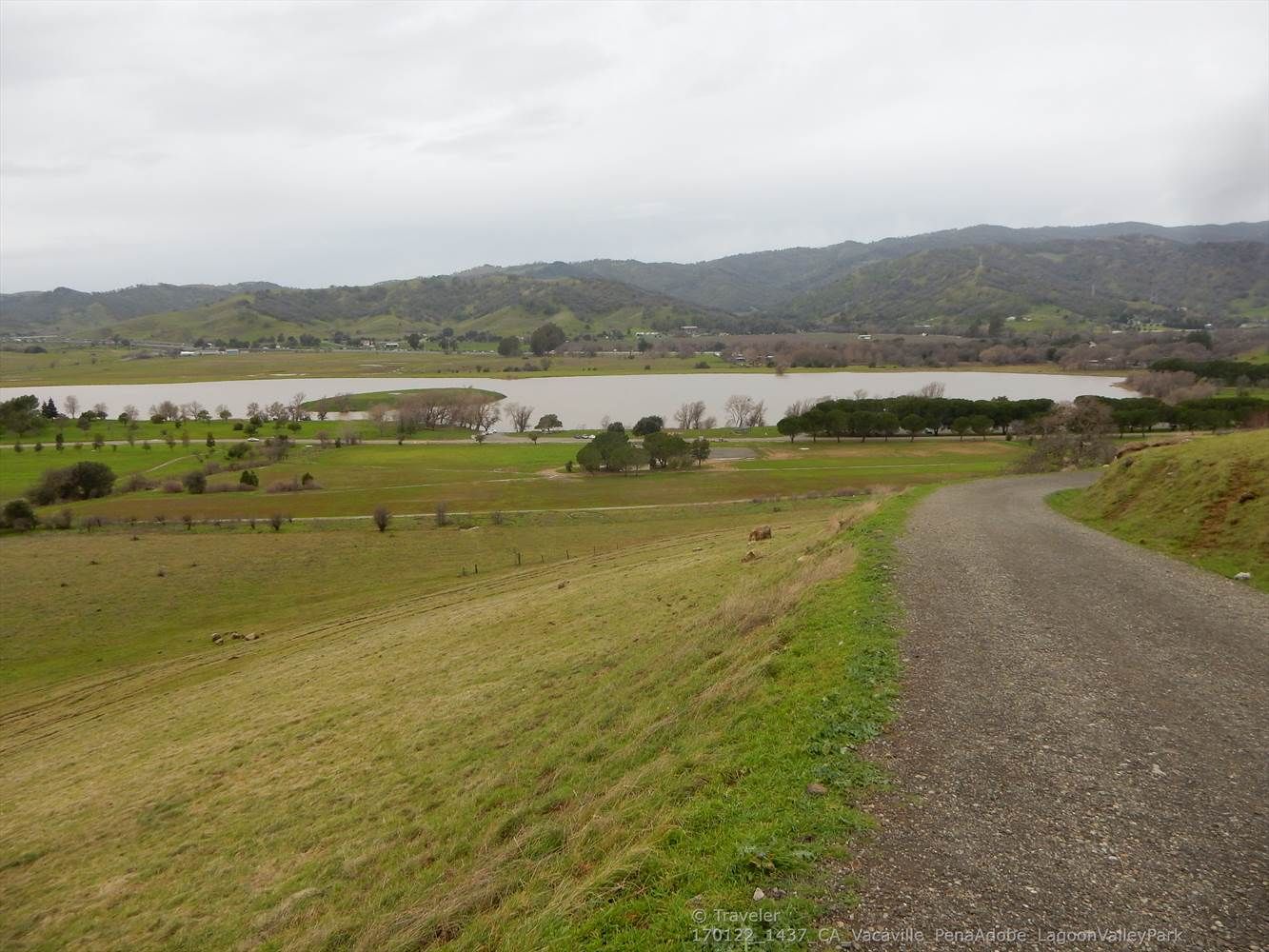 Winding dirt road overlooking a lake, green fields, and rolling hills. - Peña Adobe Hill Trail