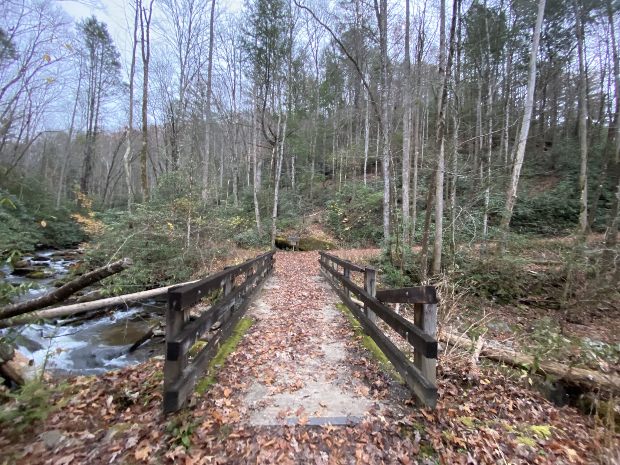 A wooden bridge covered in leaves leads into a dense, bare forest. - Twentymile and Long Hungry Ridge Trails