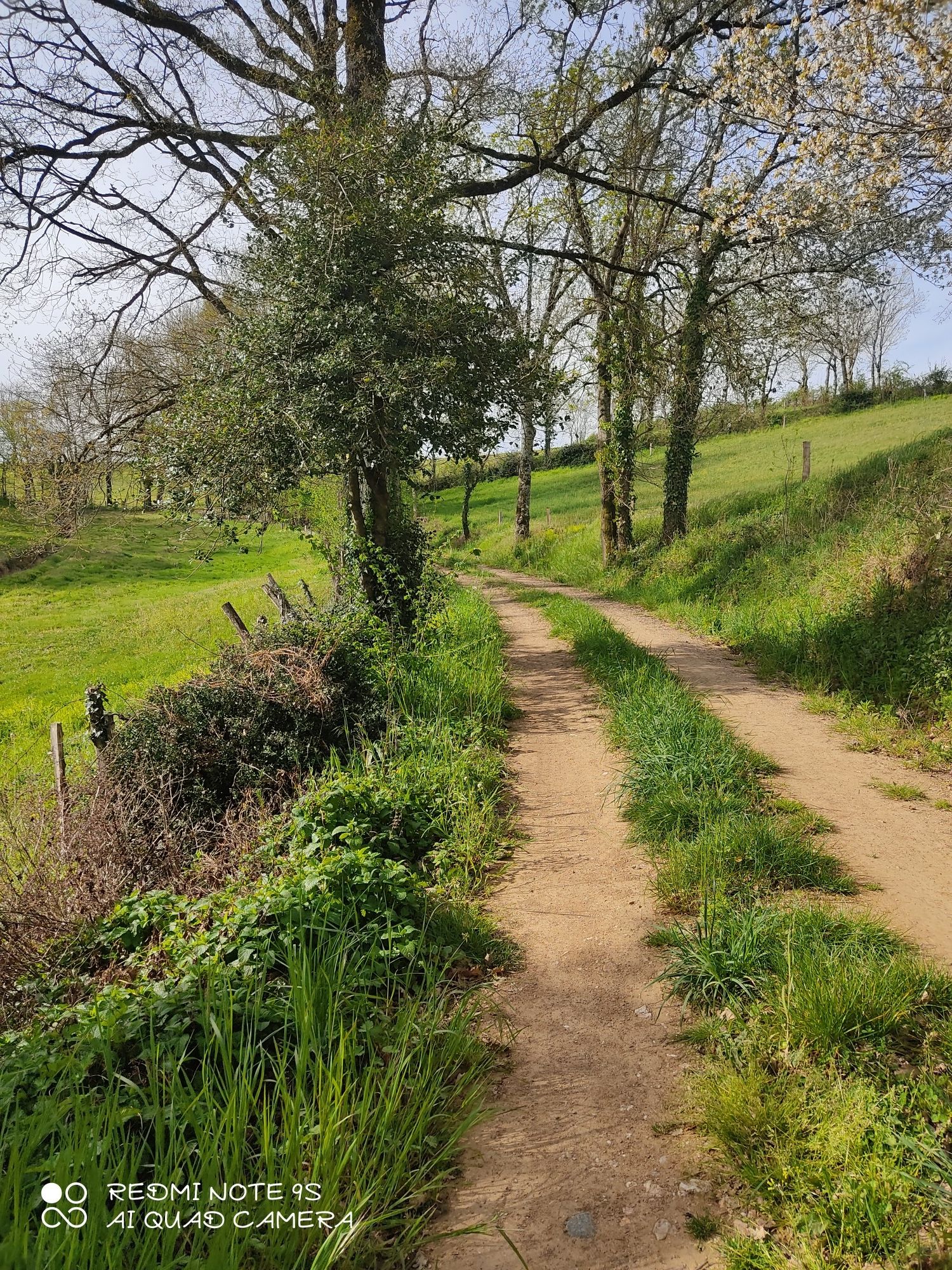 chemin