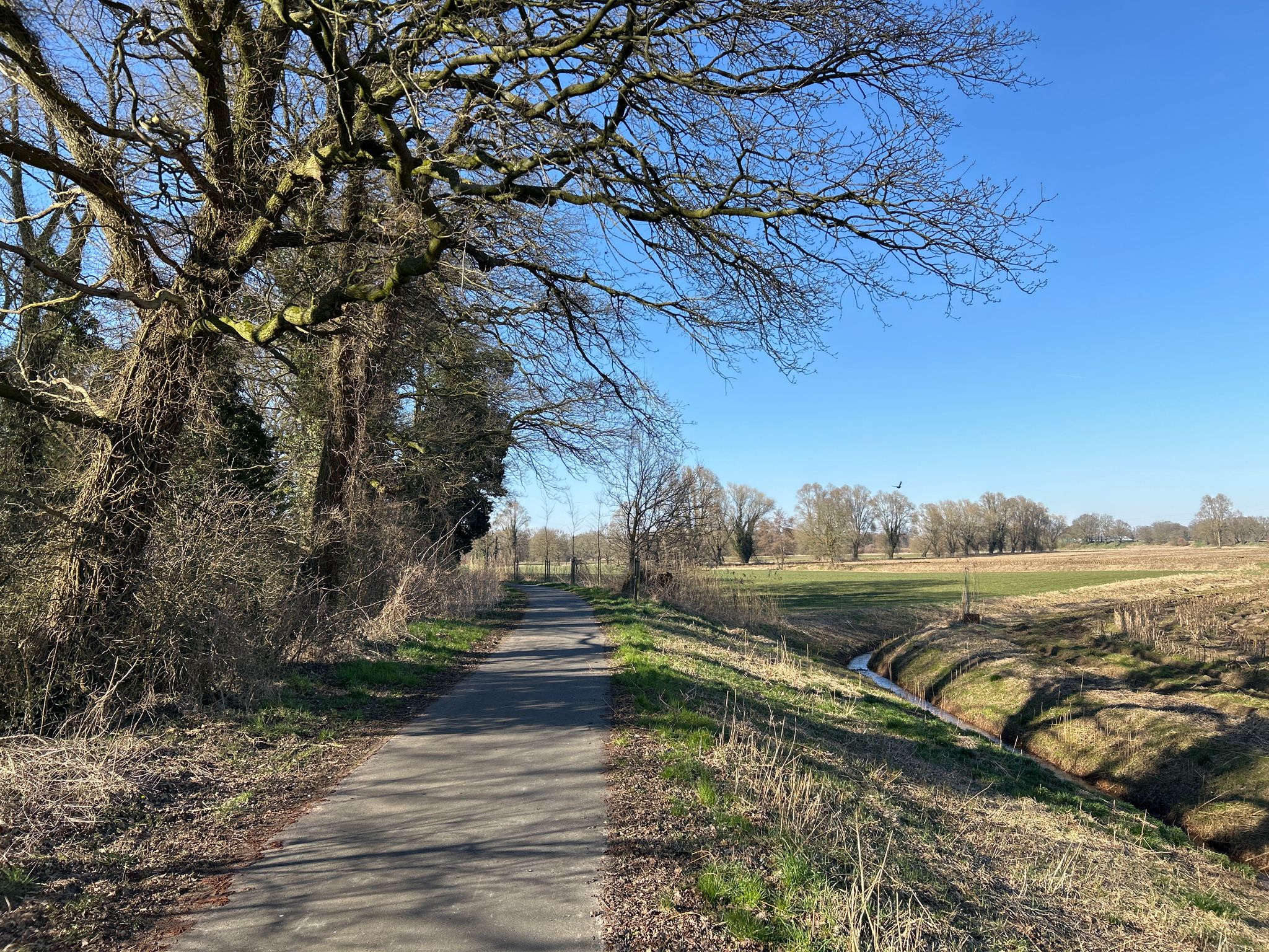 westlich von Hoogstede