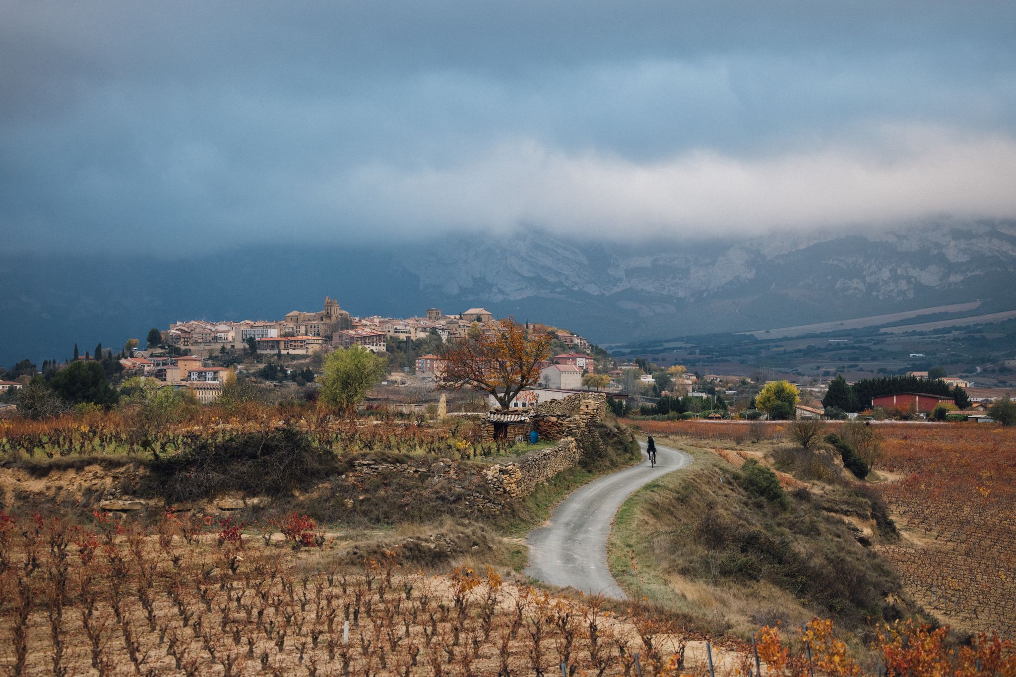 Viñedos de Laguardia