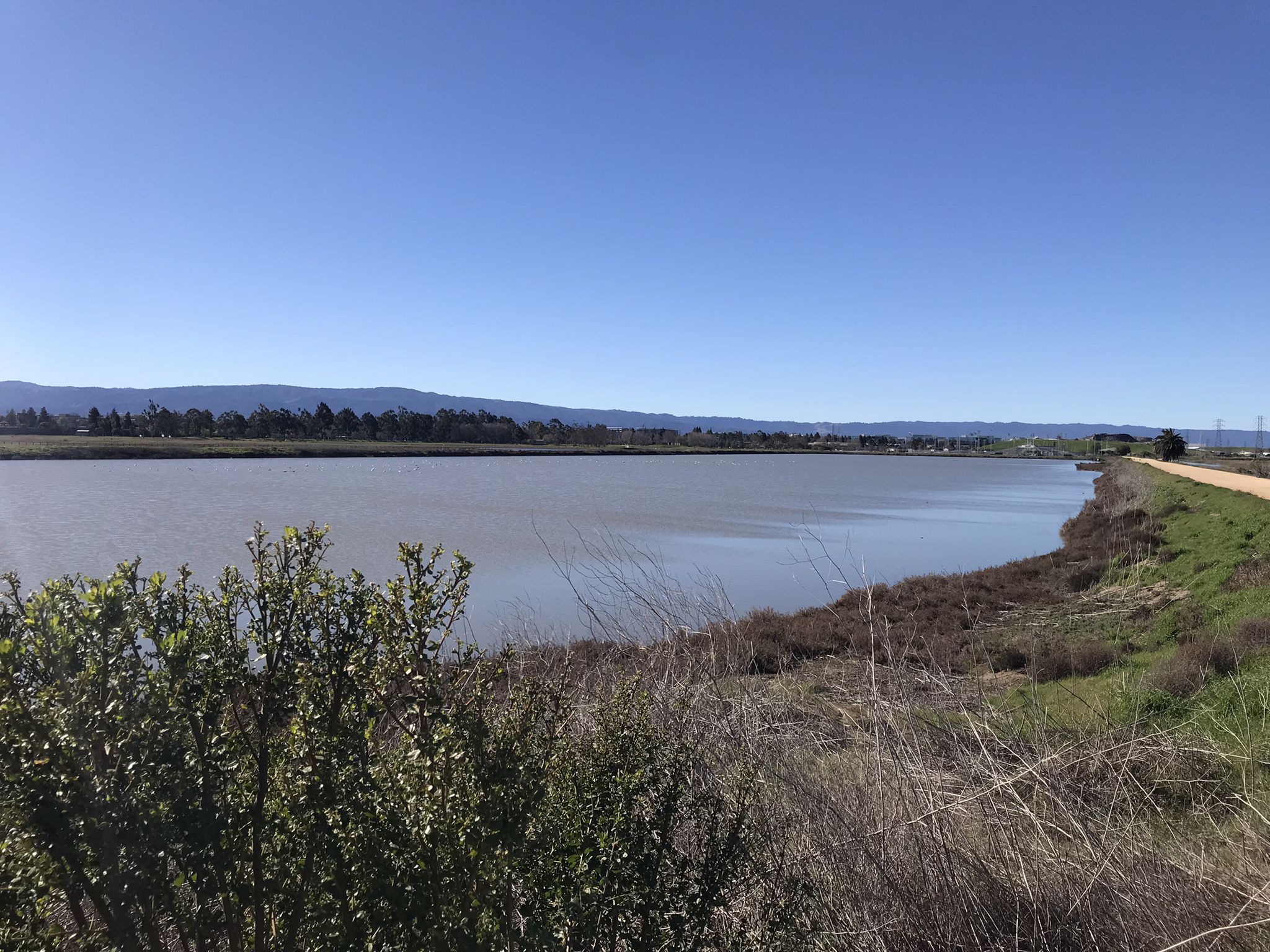 Calm water surrounded by green vegetation and distant hills on a sunny day. - San Francisco Bay Trail: Sunnyvale Baylands Loop