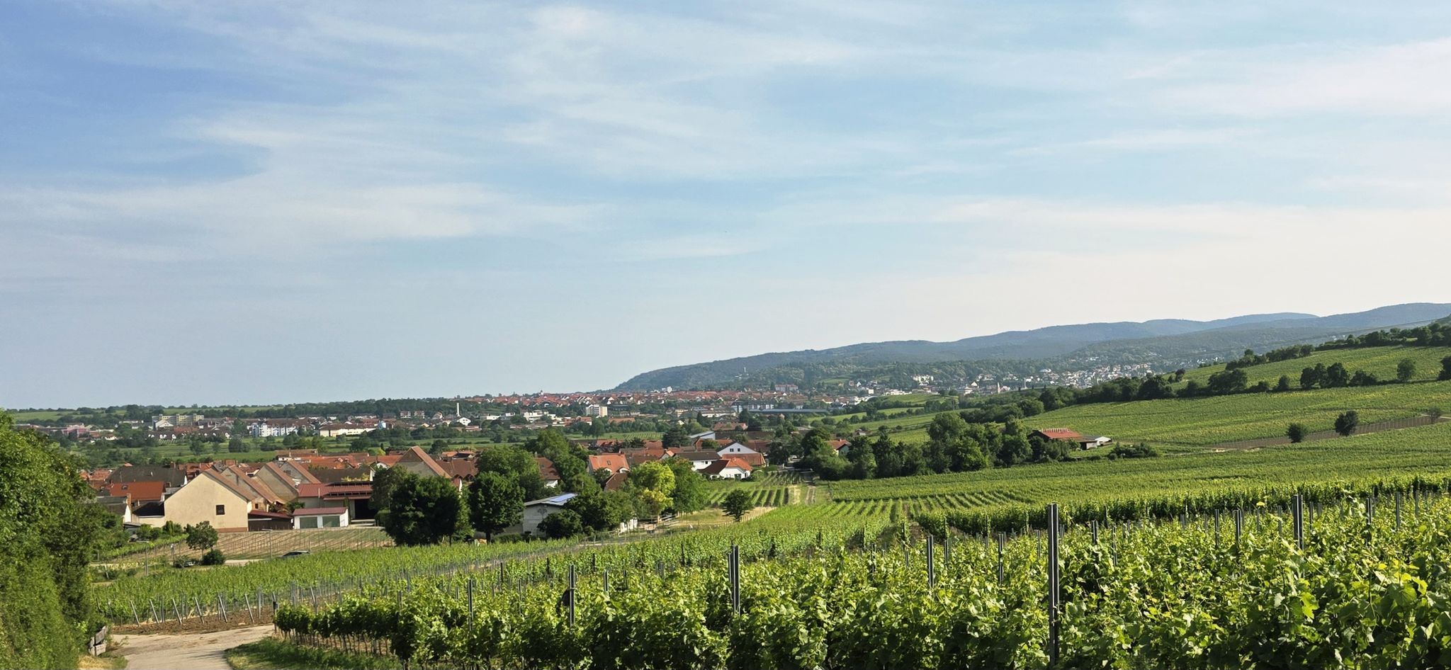 Wunderbarer Blick auf Bad Dürkheim