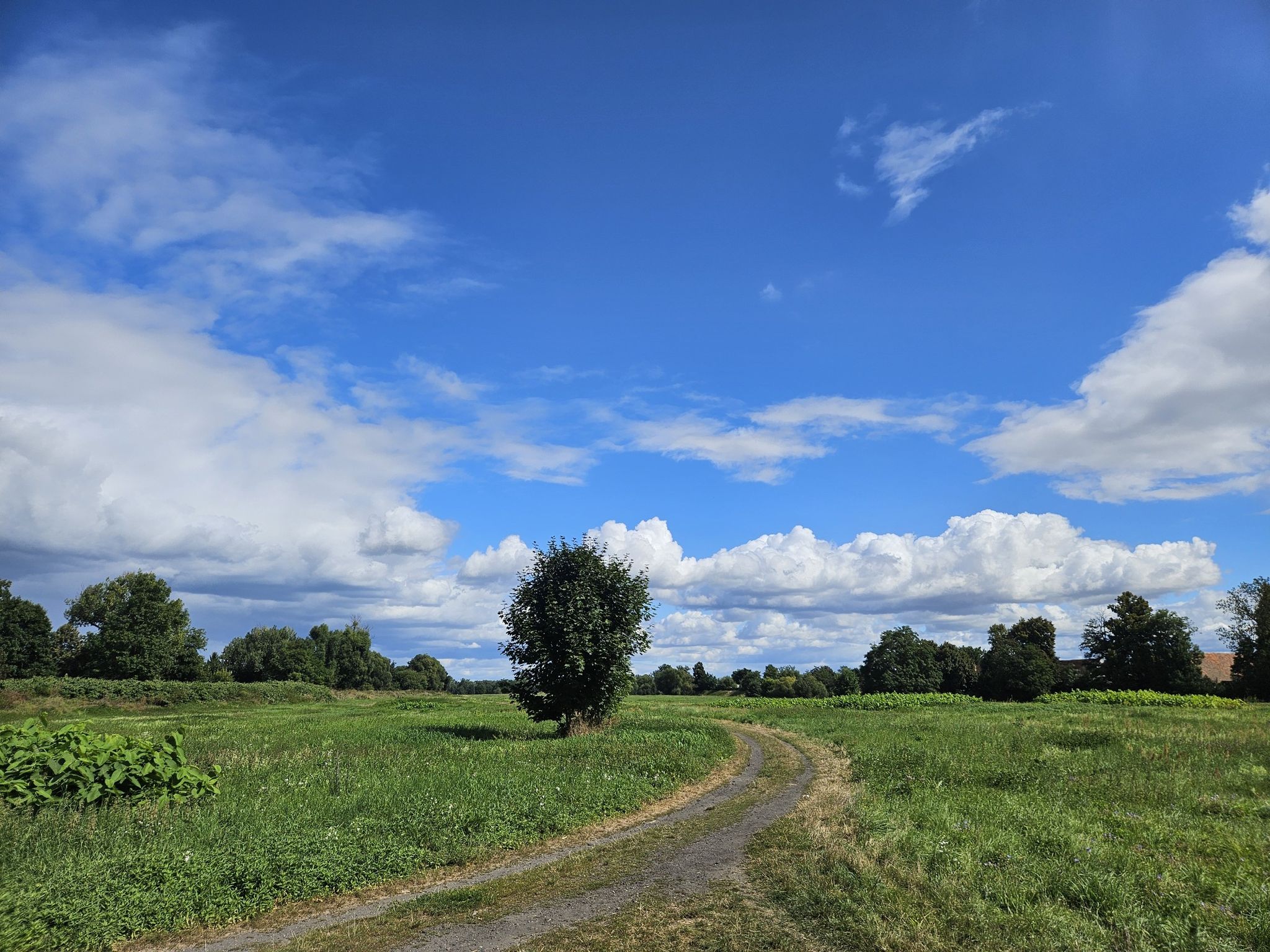 Katzbach-Aue