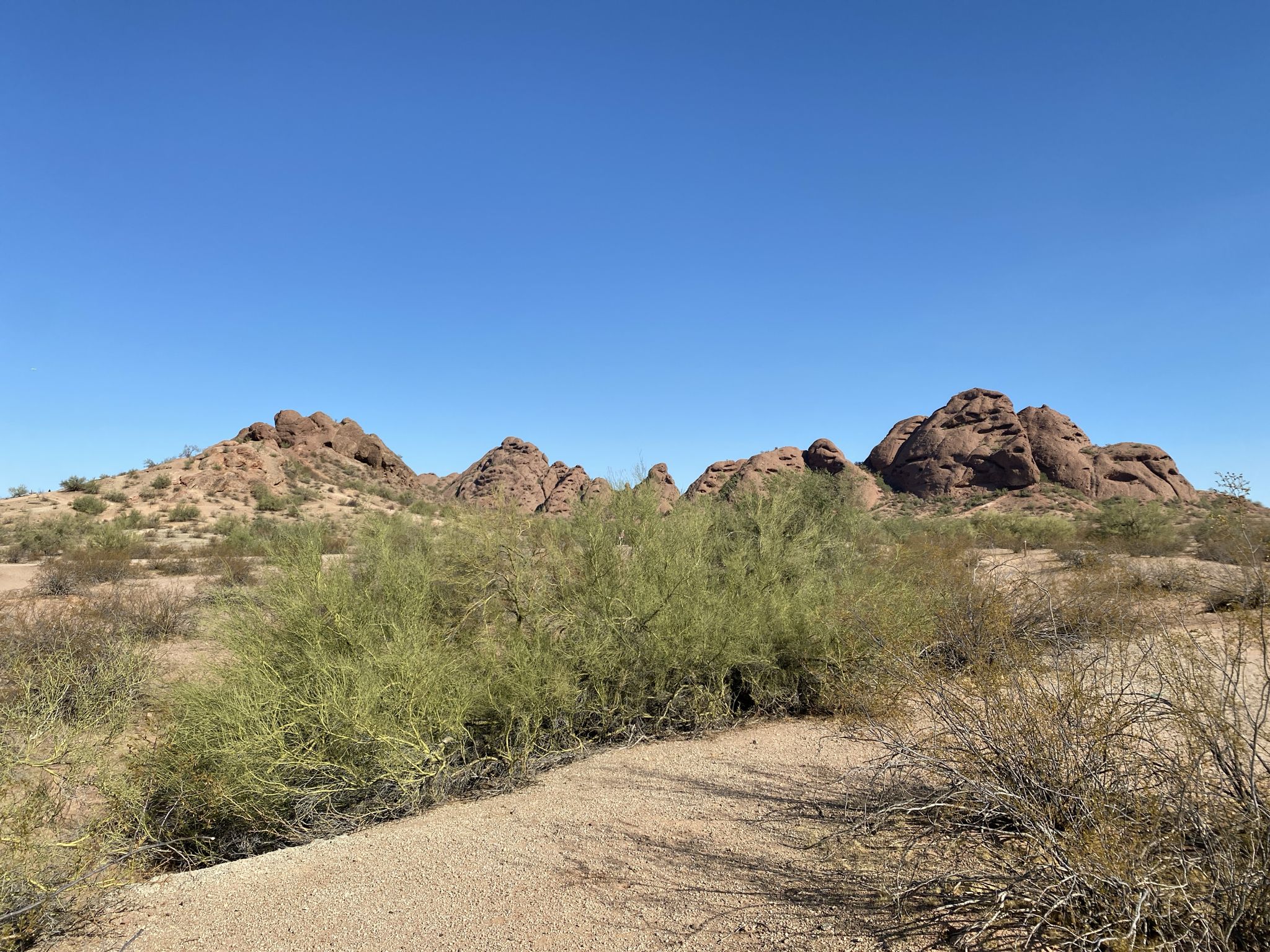 Rocky desert mountains under a clear blue sky with green shrubs. - Double Butte Loop Trail