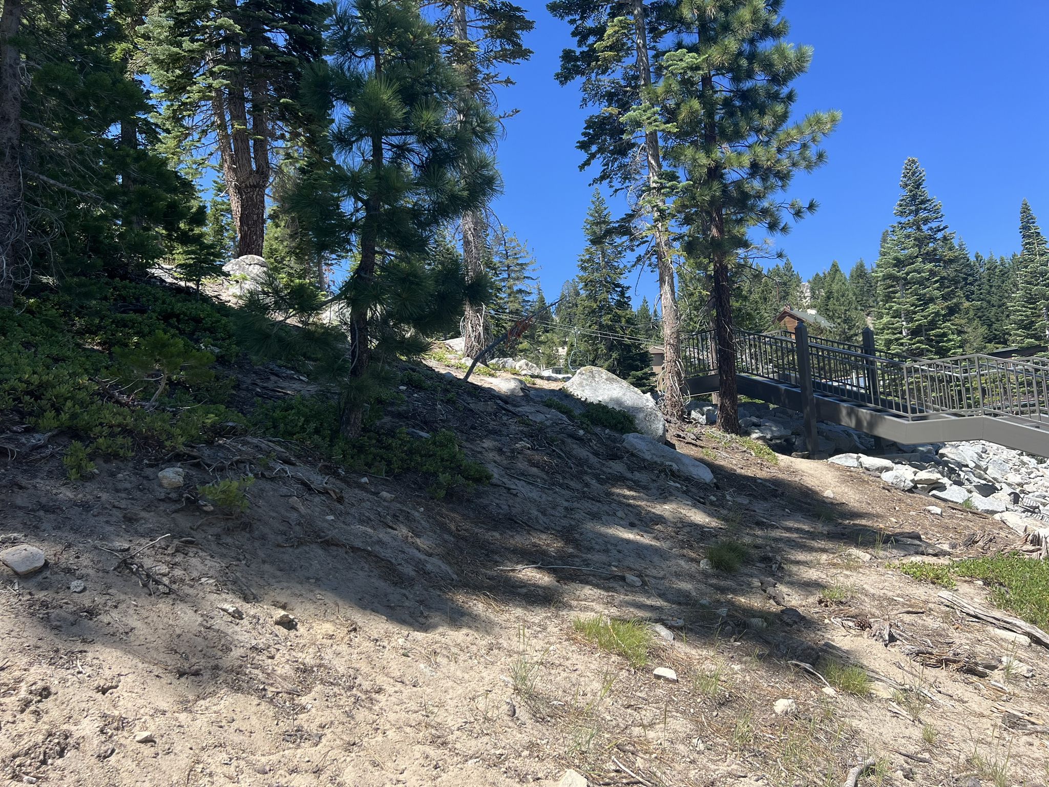 Uphill dirt path next to a metal fence, surrounded by pine trees. - Kingsbury South/Stagecoach Access