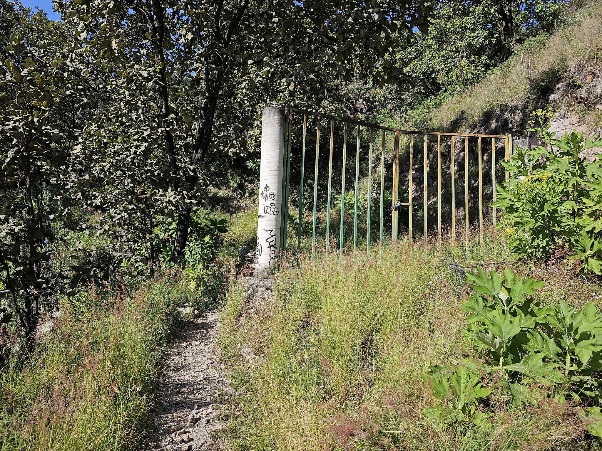 puerta