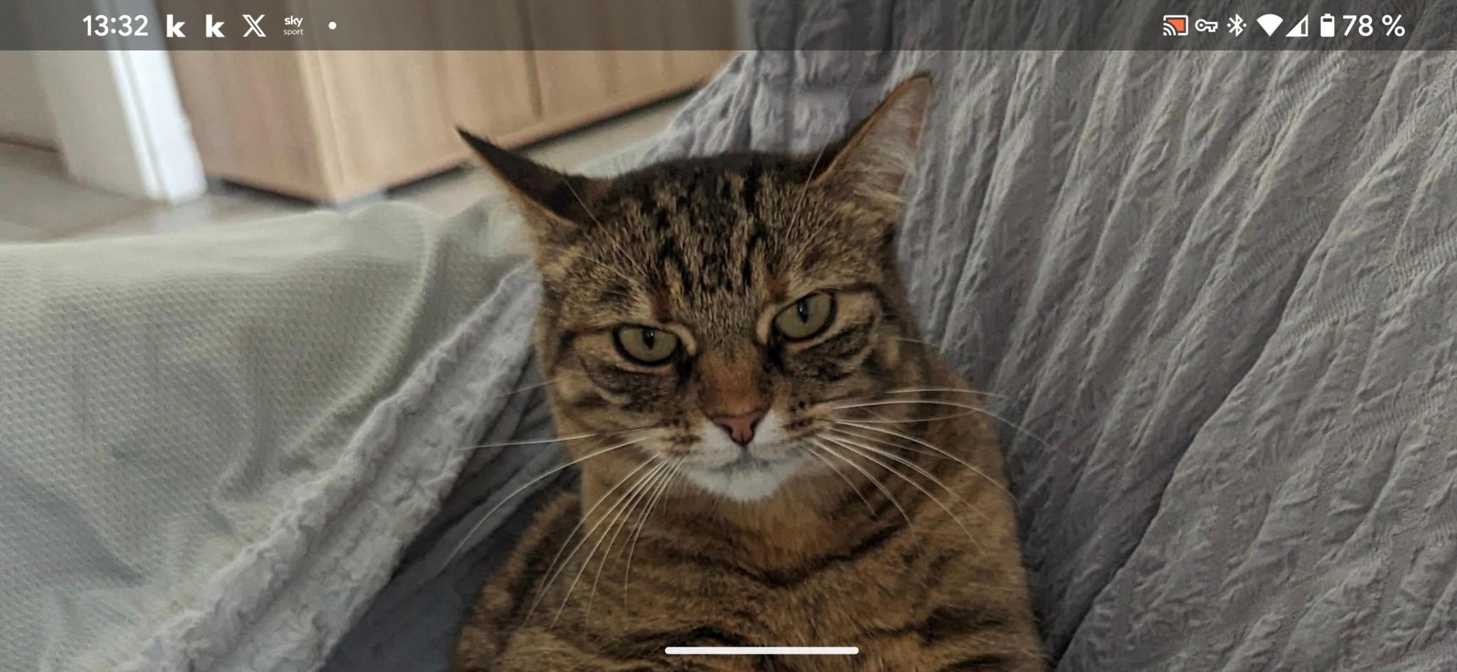 user avatar