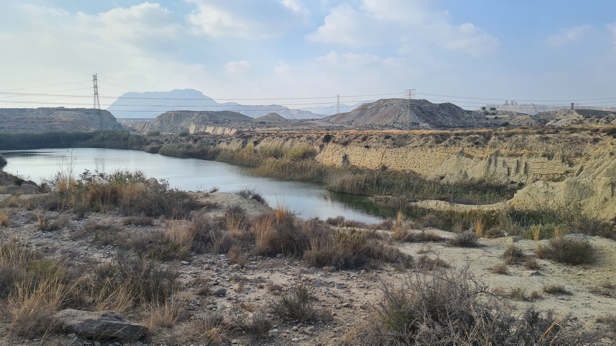 lago c1