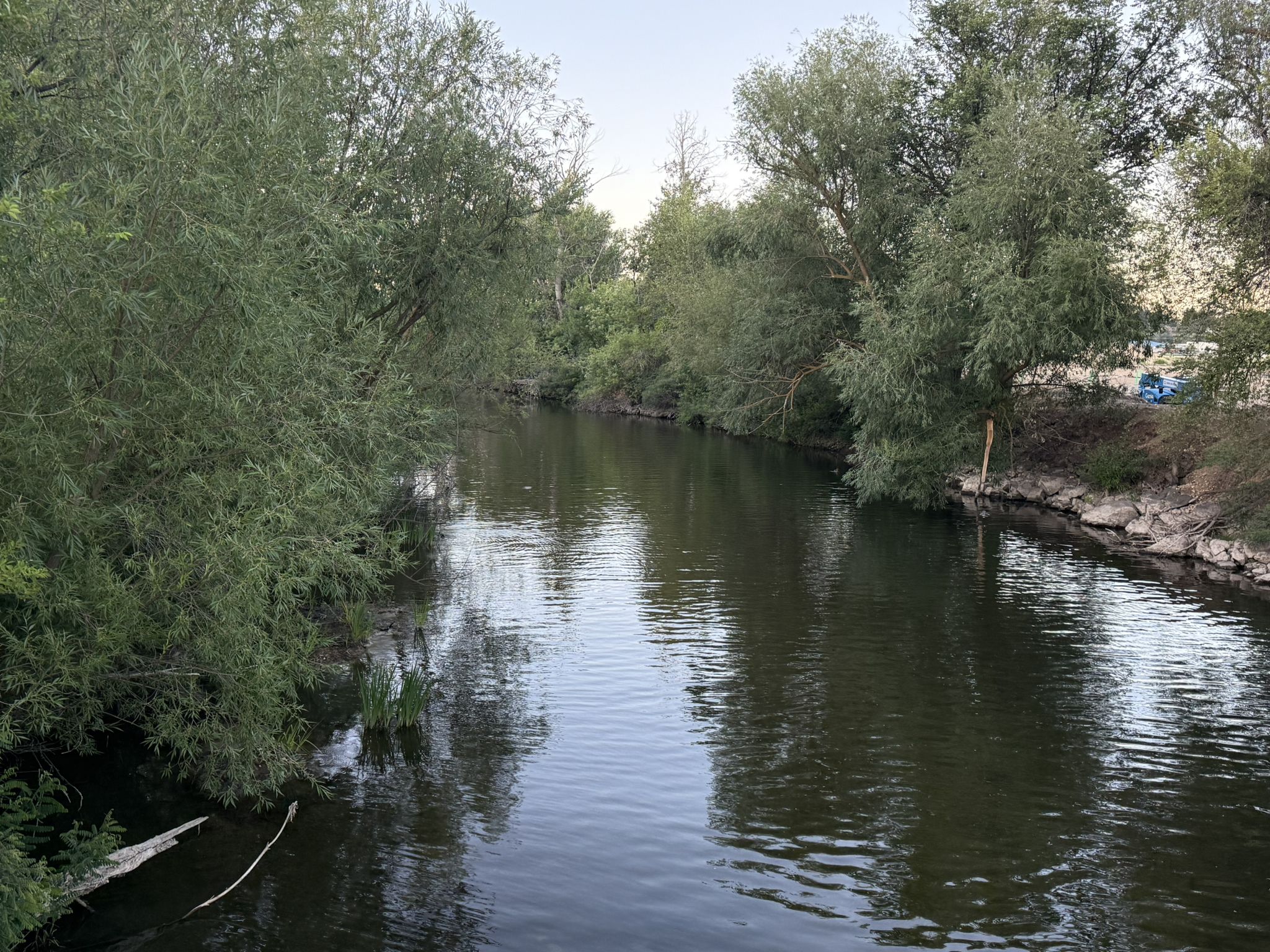 Calm, narrow river flowing between dense green trees and foliage. - Boise River Greenbelt – Boise river view loop from Eagle