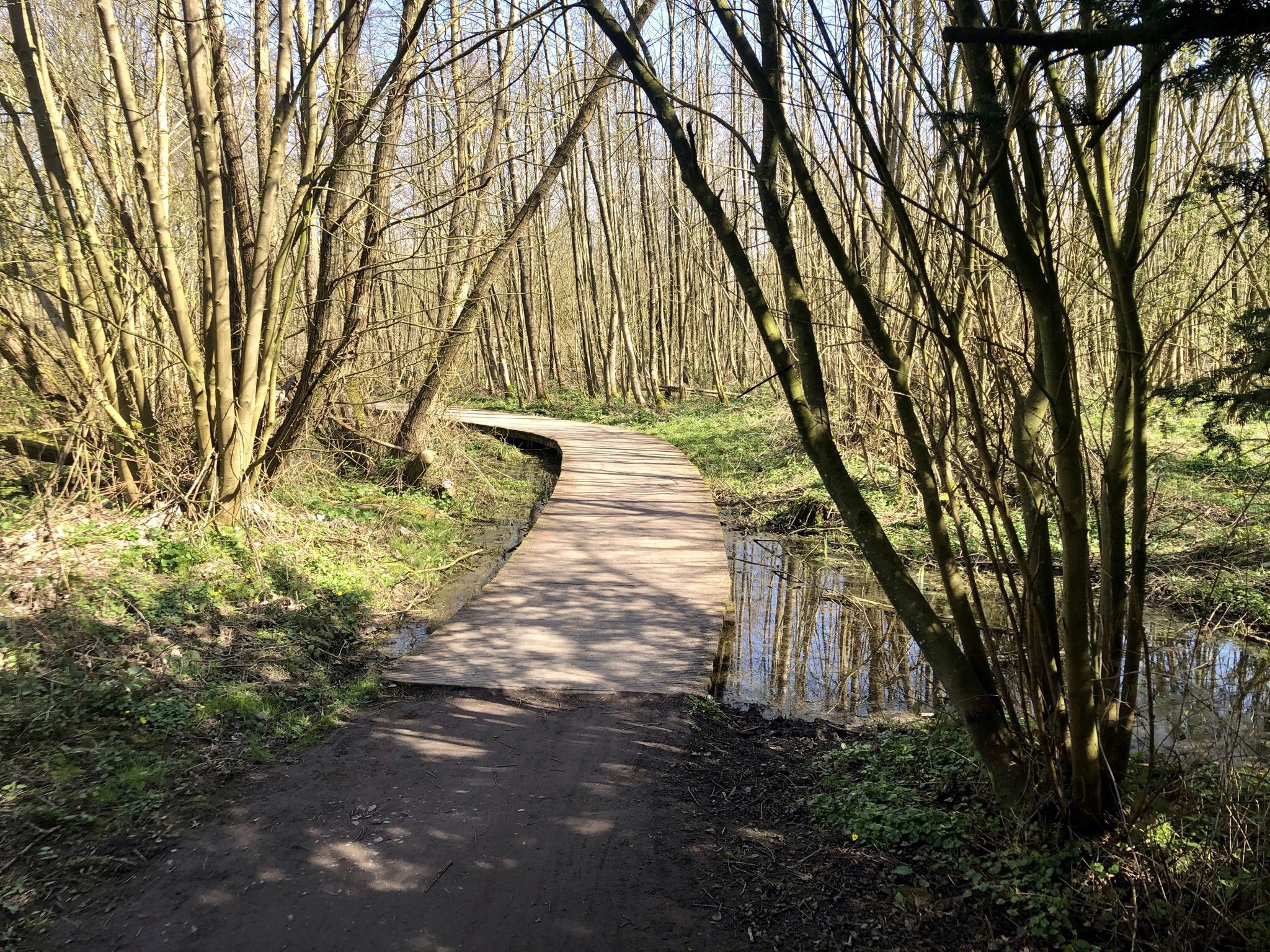 Bois d’Infière