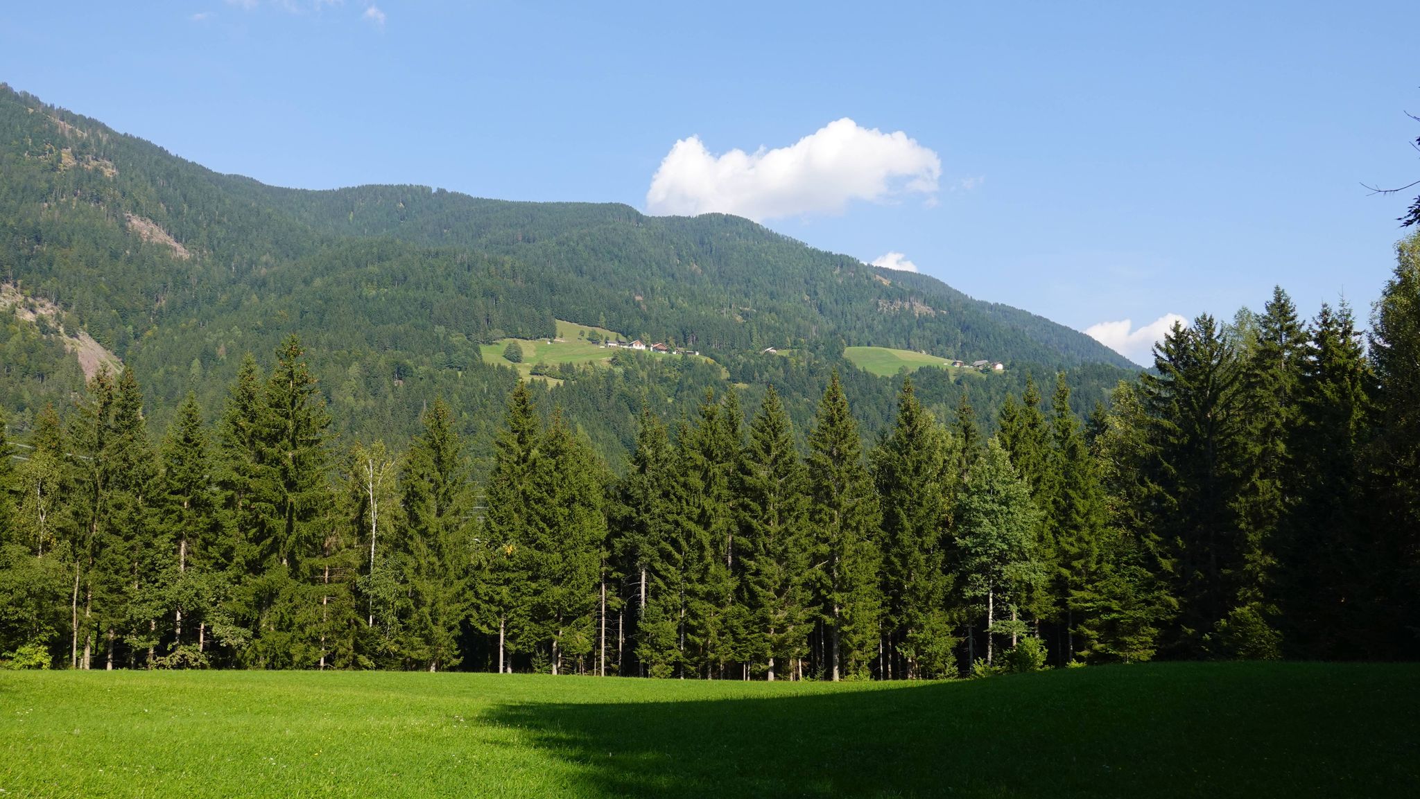 Uitzicht