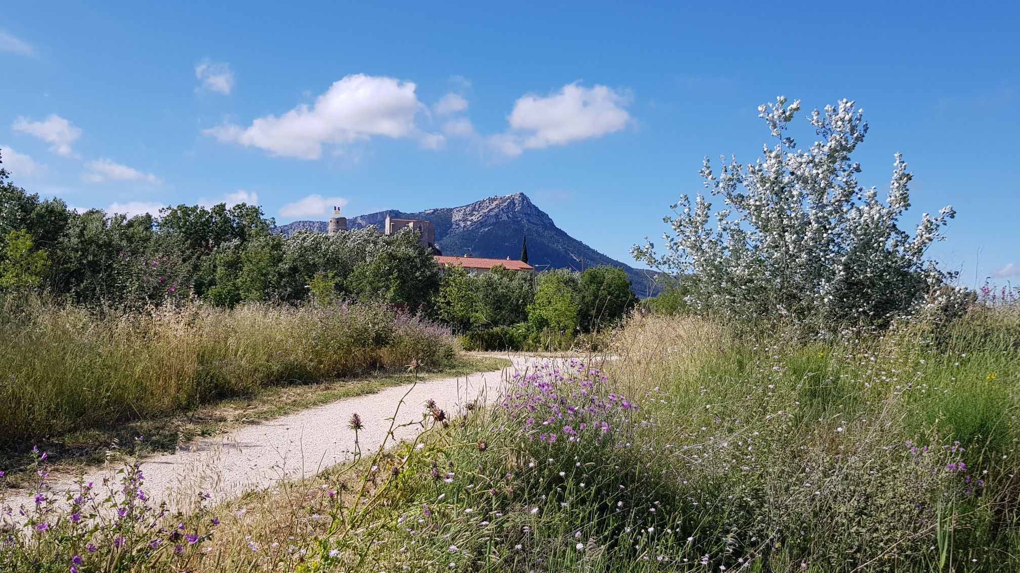 En dehors du parc mais ça a l'air joli (Le Mont Coudon)