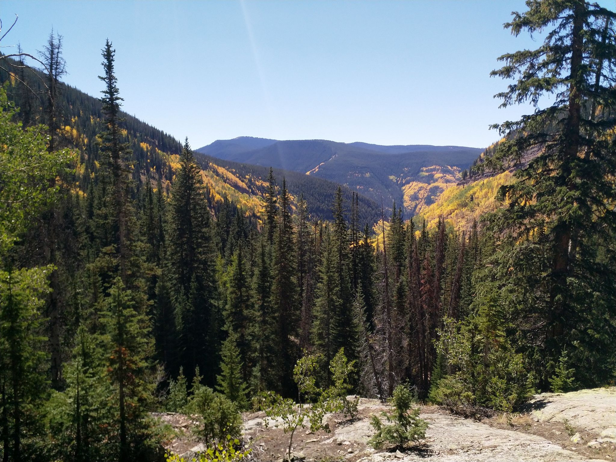 Sunny mountain valley with green pines and golden aspen trees. - Booth Lake Trail