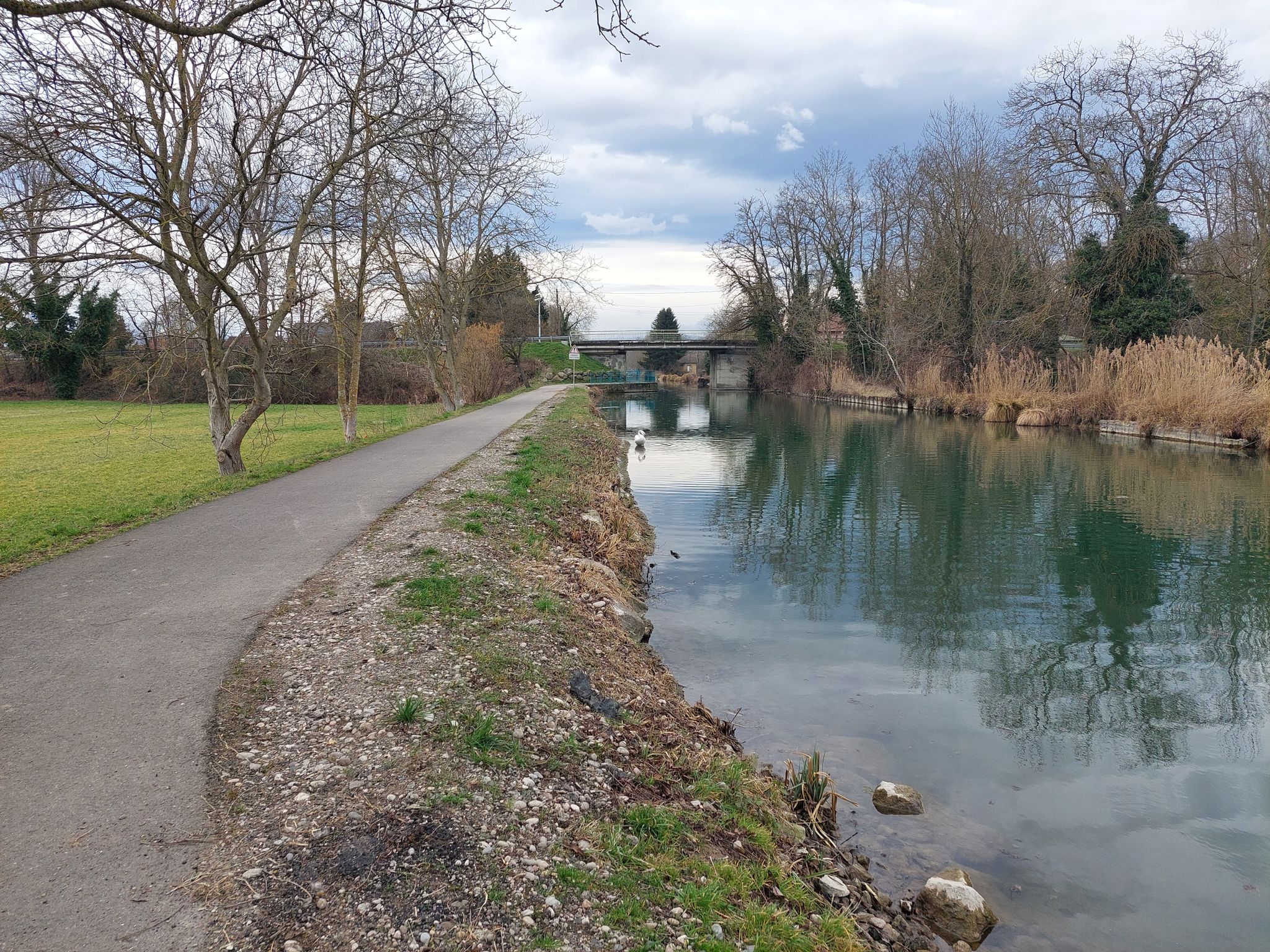 am Canal de Colmar kurz vor Muntzenheim