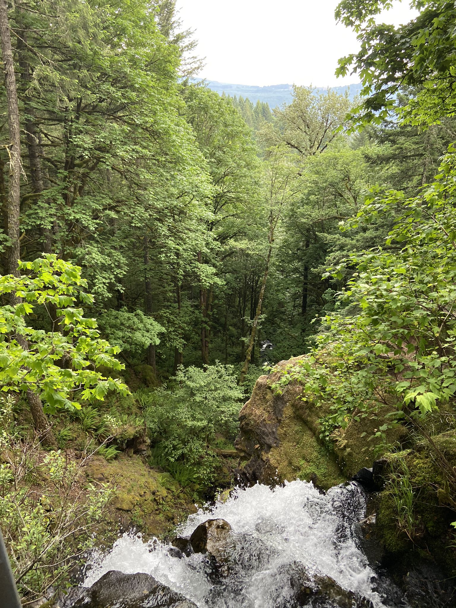 Rushing water at the top of a waterfall surrounded by a lush green forest. - Shellburg Falls and August Mountain Loop