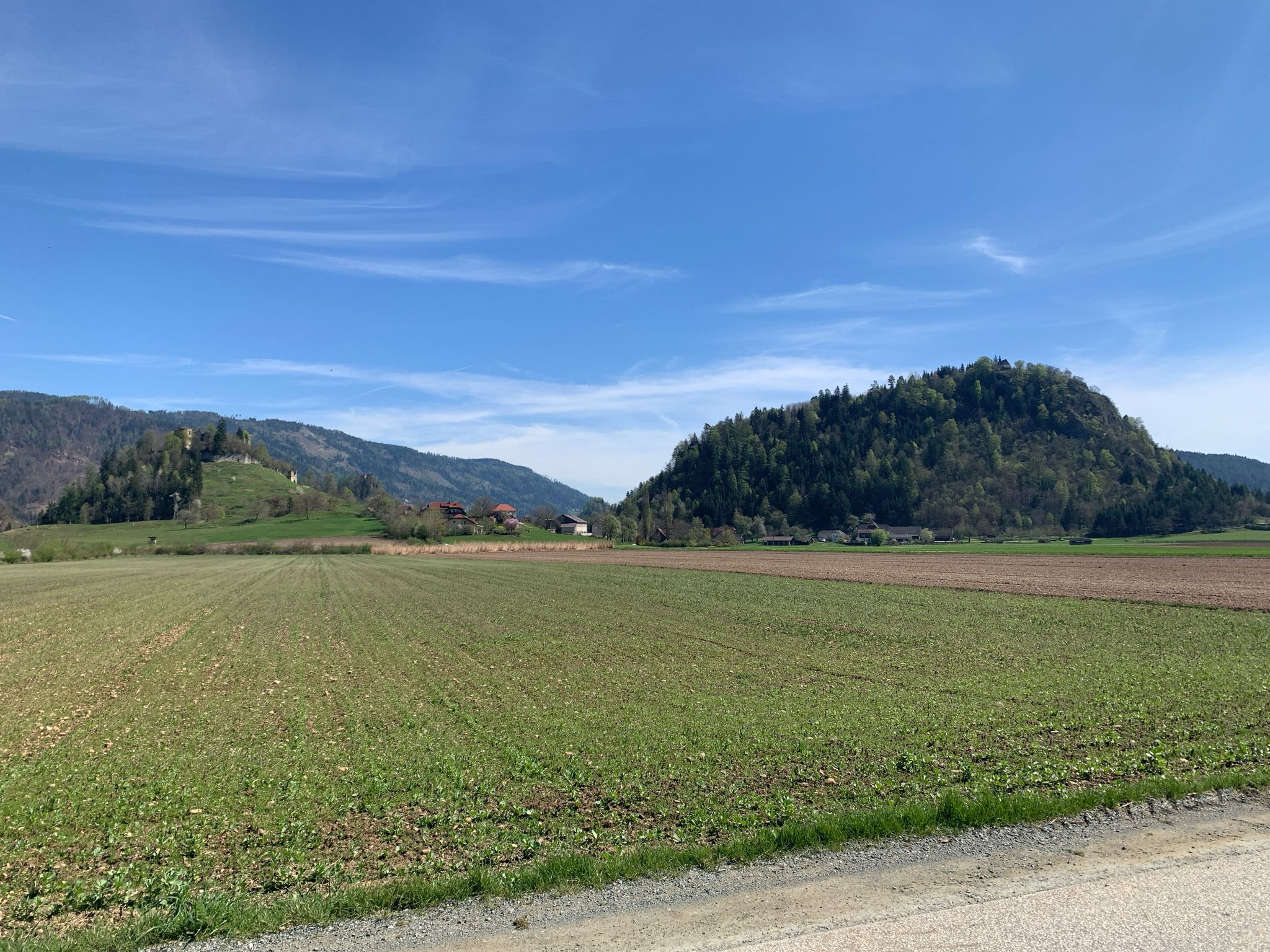 Waisenberg