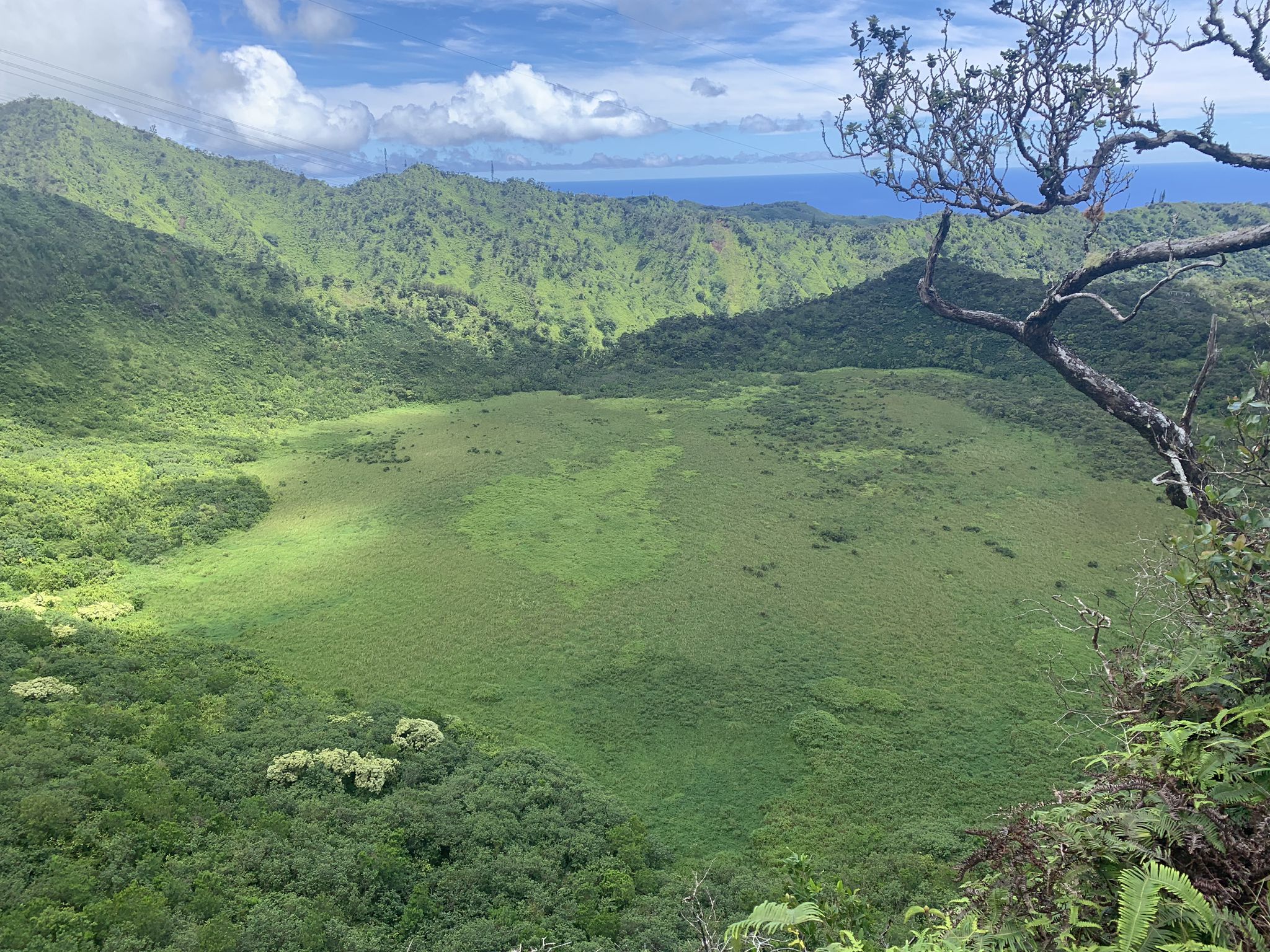 Expansive green basin surrounded by lush, forested mountains under a blue sky. - Ka'au Crater Trail