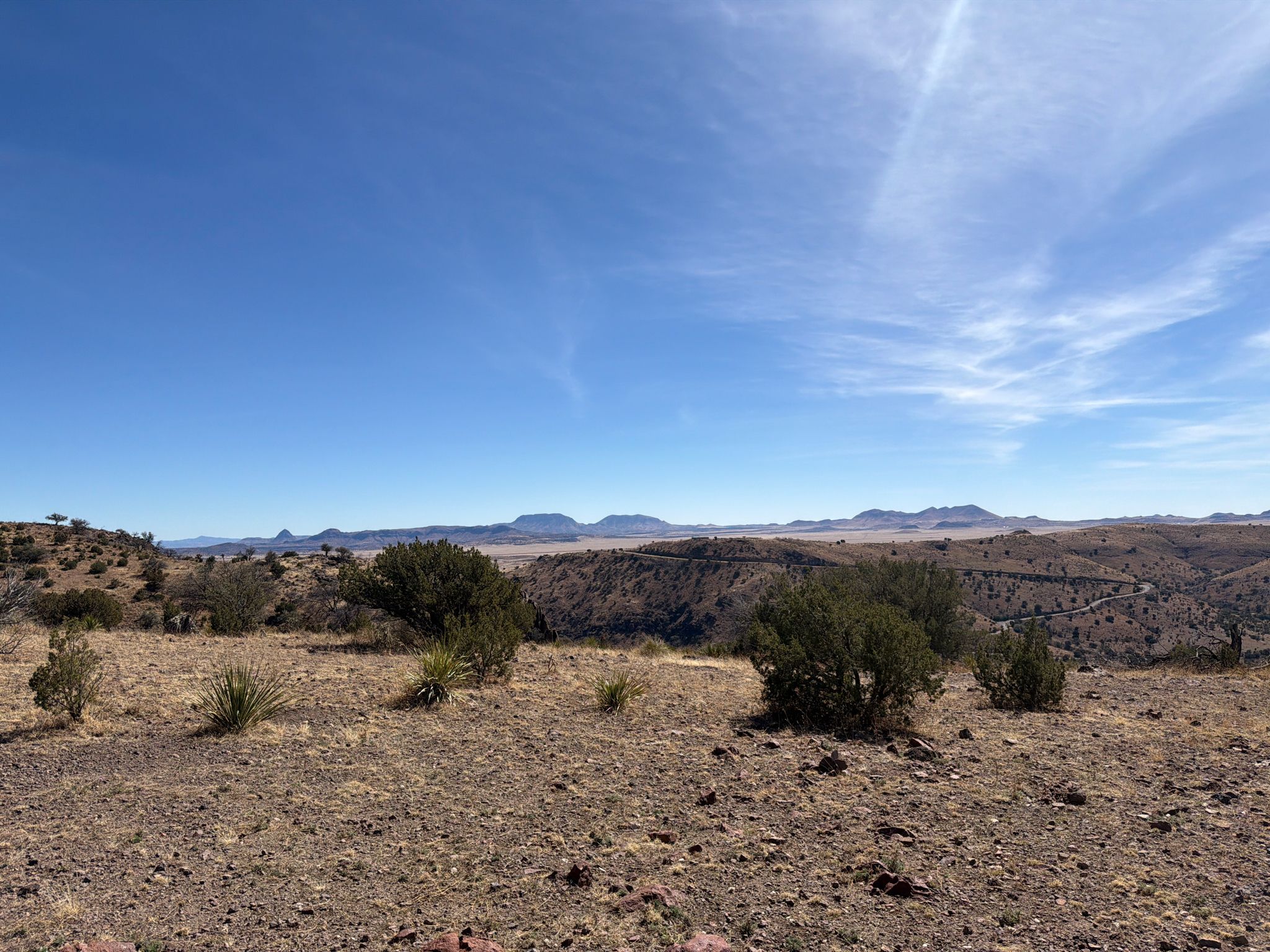 Sunny desert landscape with sparse vegetation, rolling hills, and distant mountains. - Limpia Creek Vista loop from Davis Mountains State Park