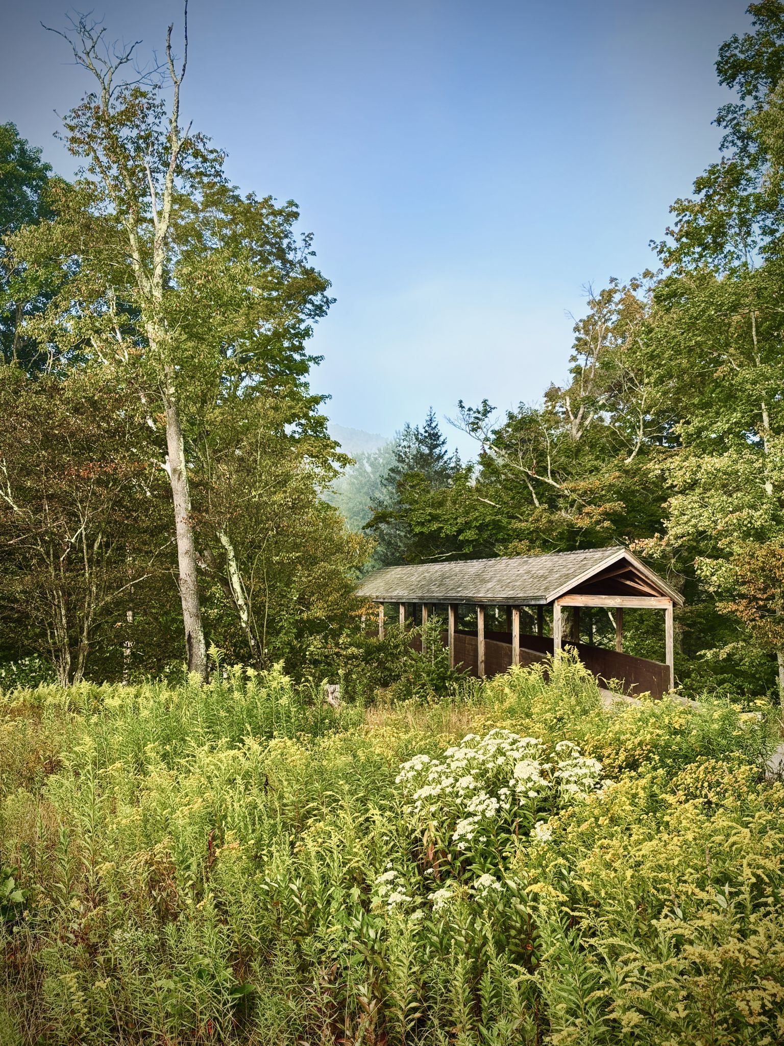 Rustic covered bridge surrounded by dense green foliage and tall wildflowers. - The Windham Path