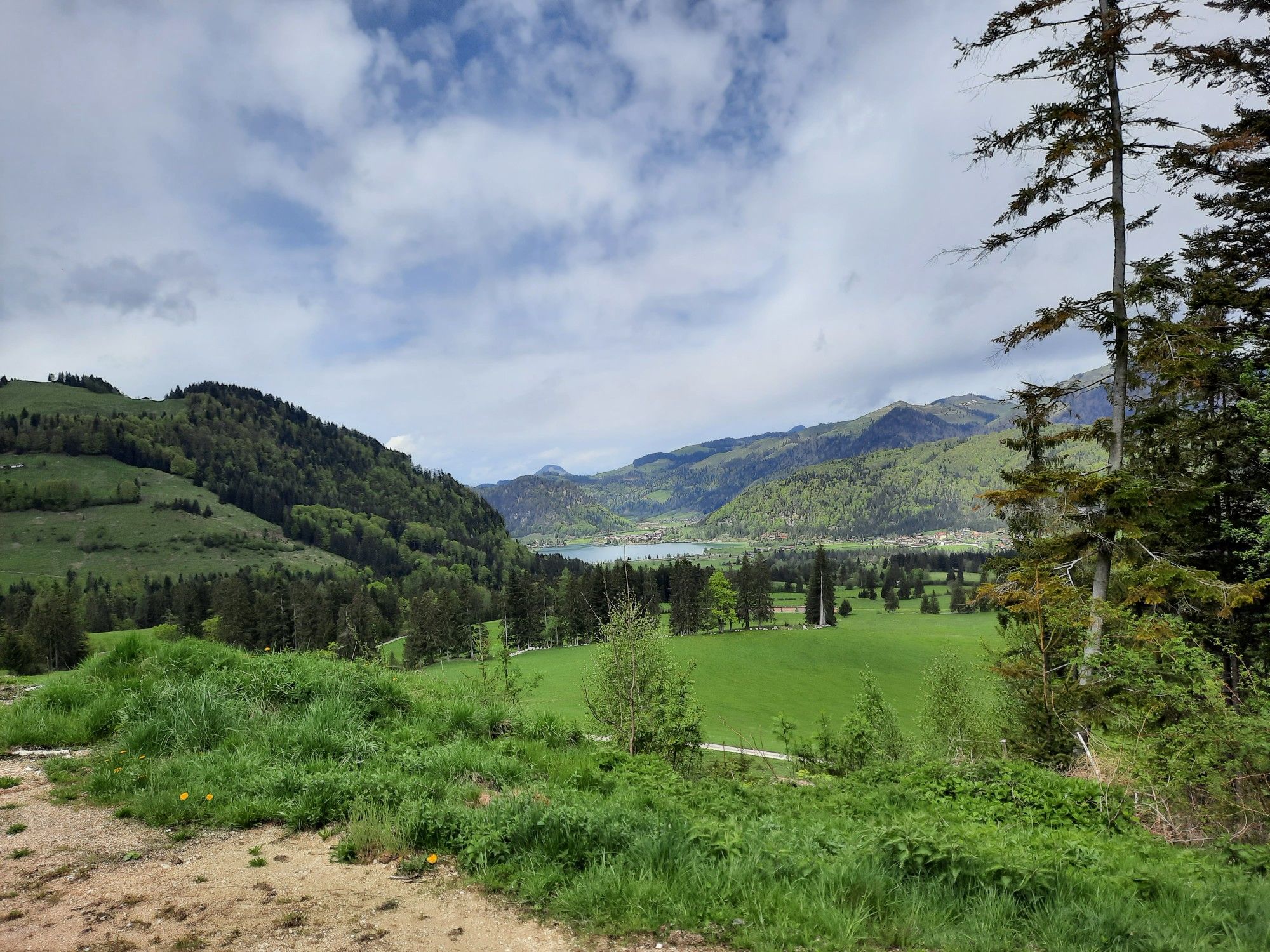 Walchsee