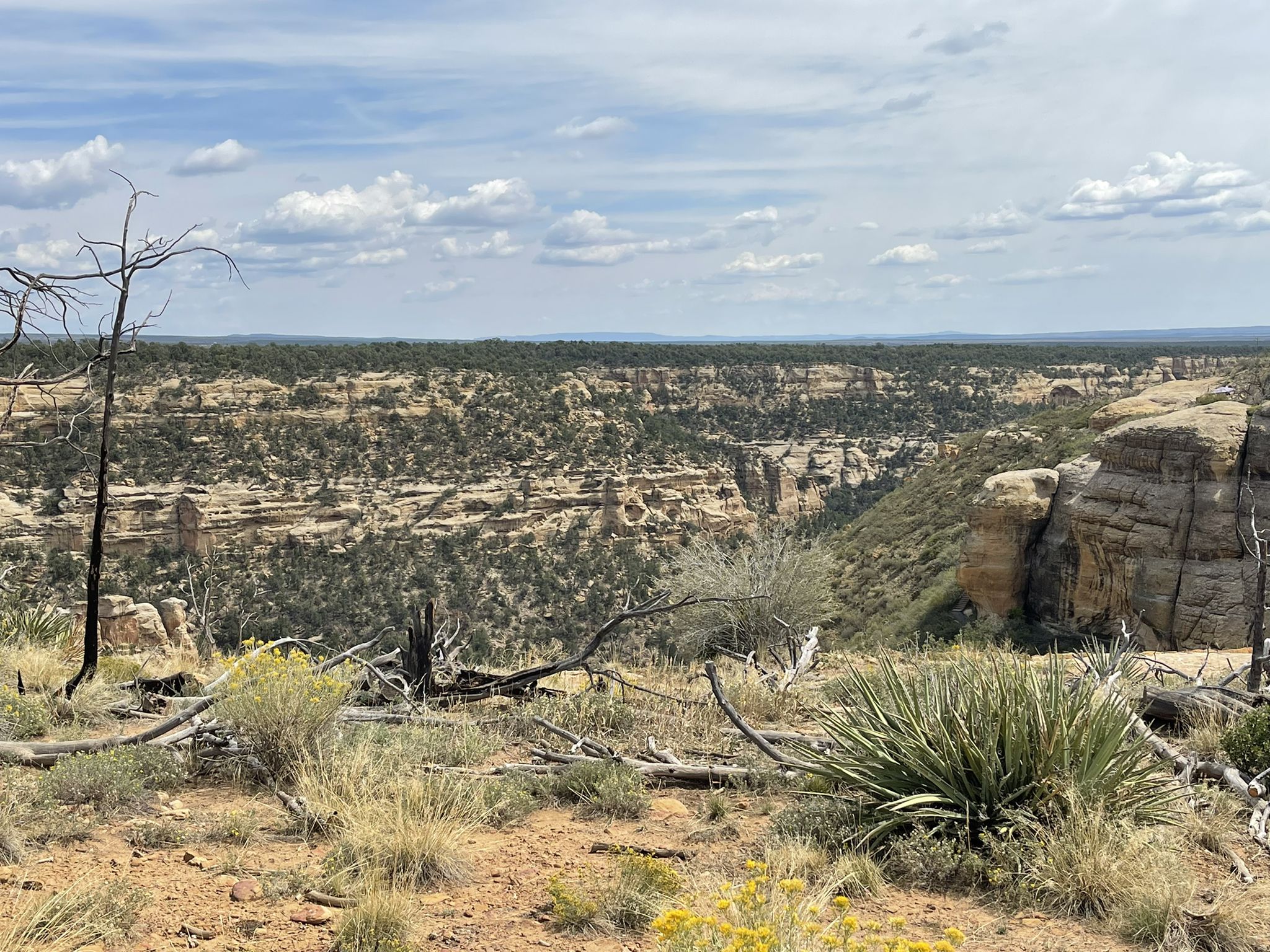 Vast arid canyon landscape under a partly cloudy sky with sparse vegetation. - Step House Trail