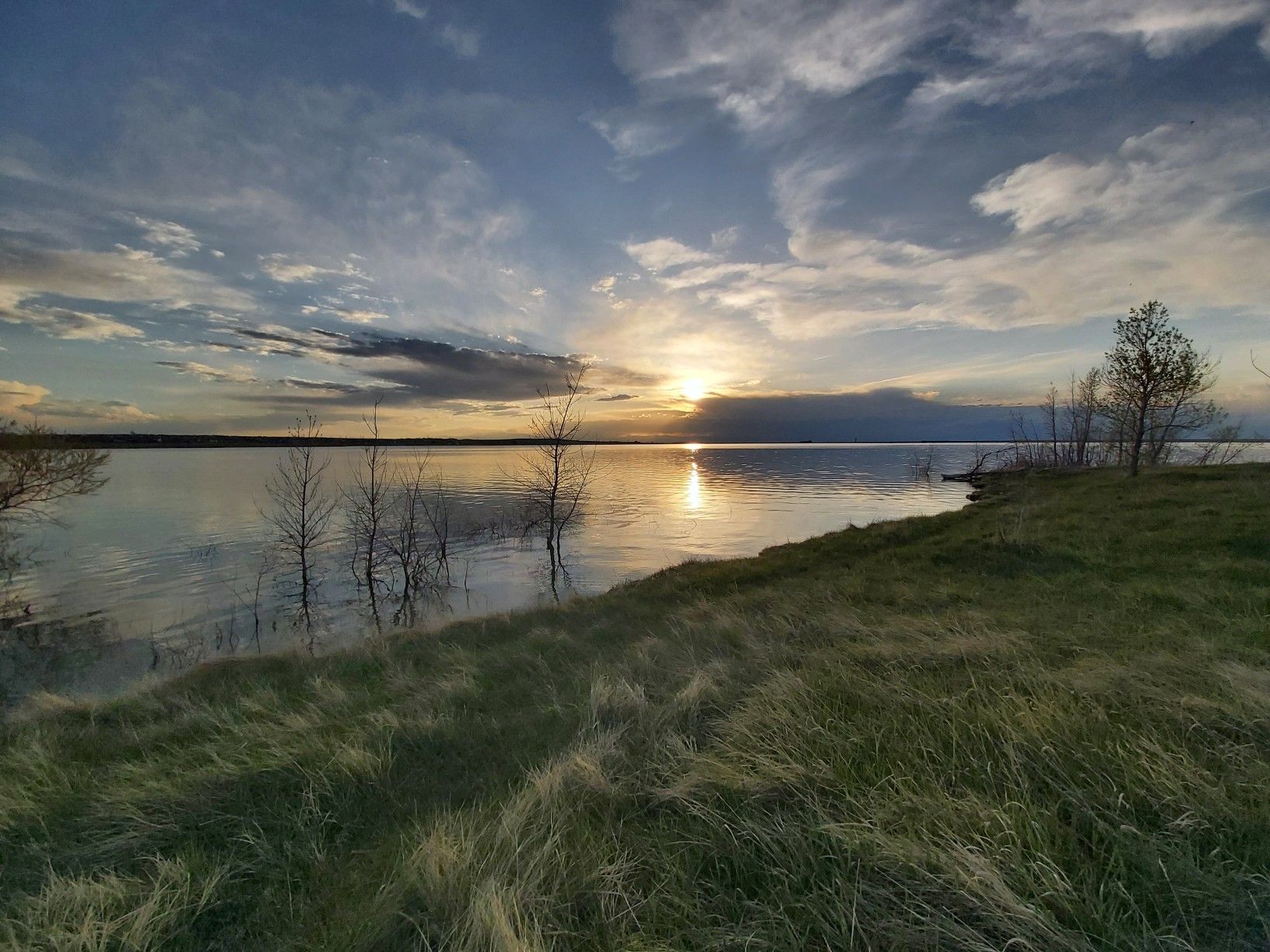 Golden sunset over a calm lake with grassy shores and bare trees. - Aurora Reservoir Perimeter Trail