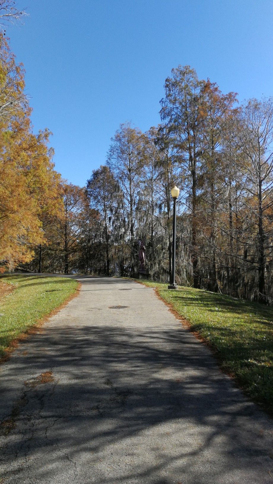 A paved path winding through a park with tall trees and a lamppost. - Lake Highland Park – Cady Way Trail loop from University of Central Florida