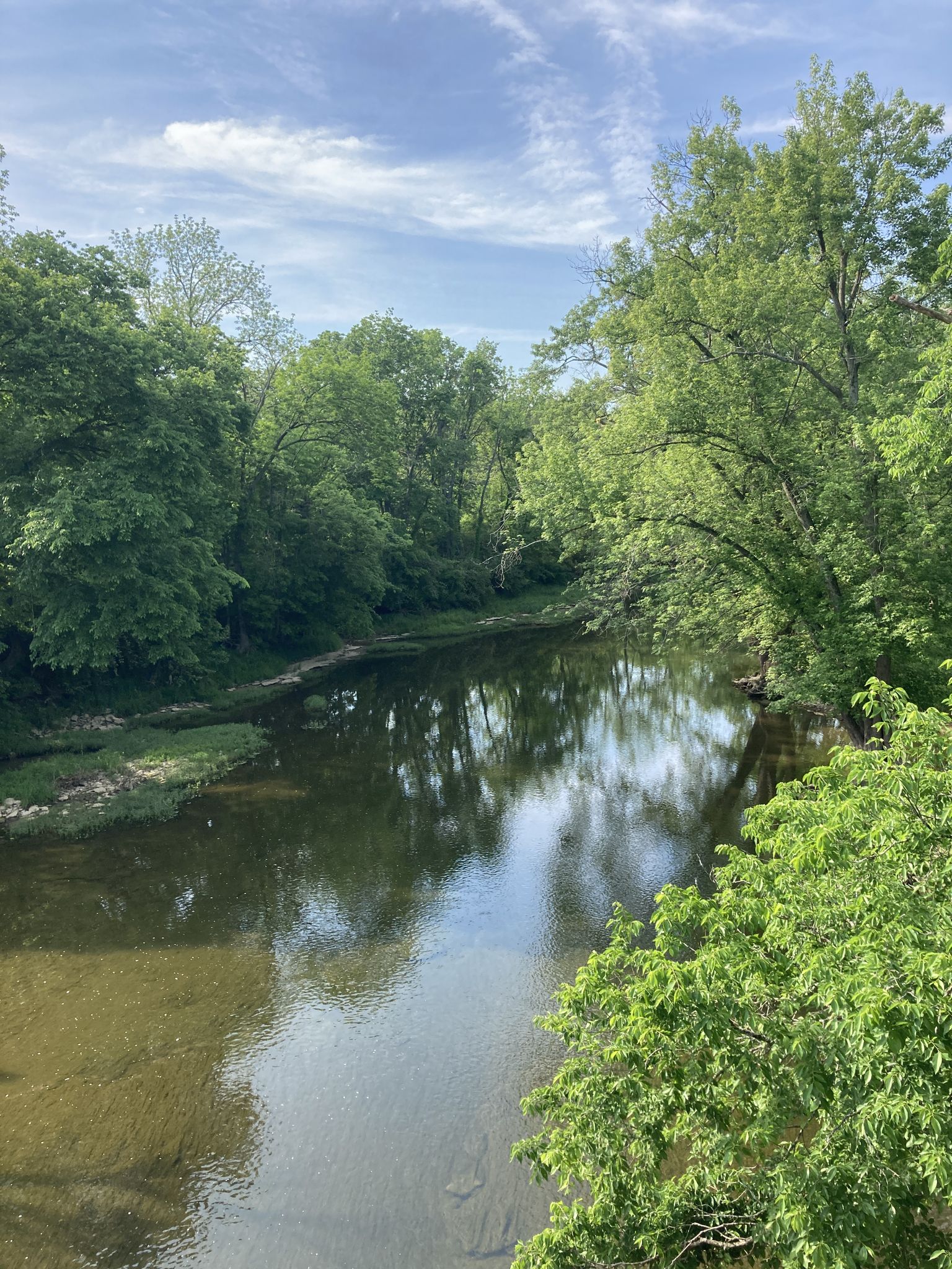 A calm river flows through a dense green forest under a cloudy sky. - Louisville Loop Trail