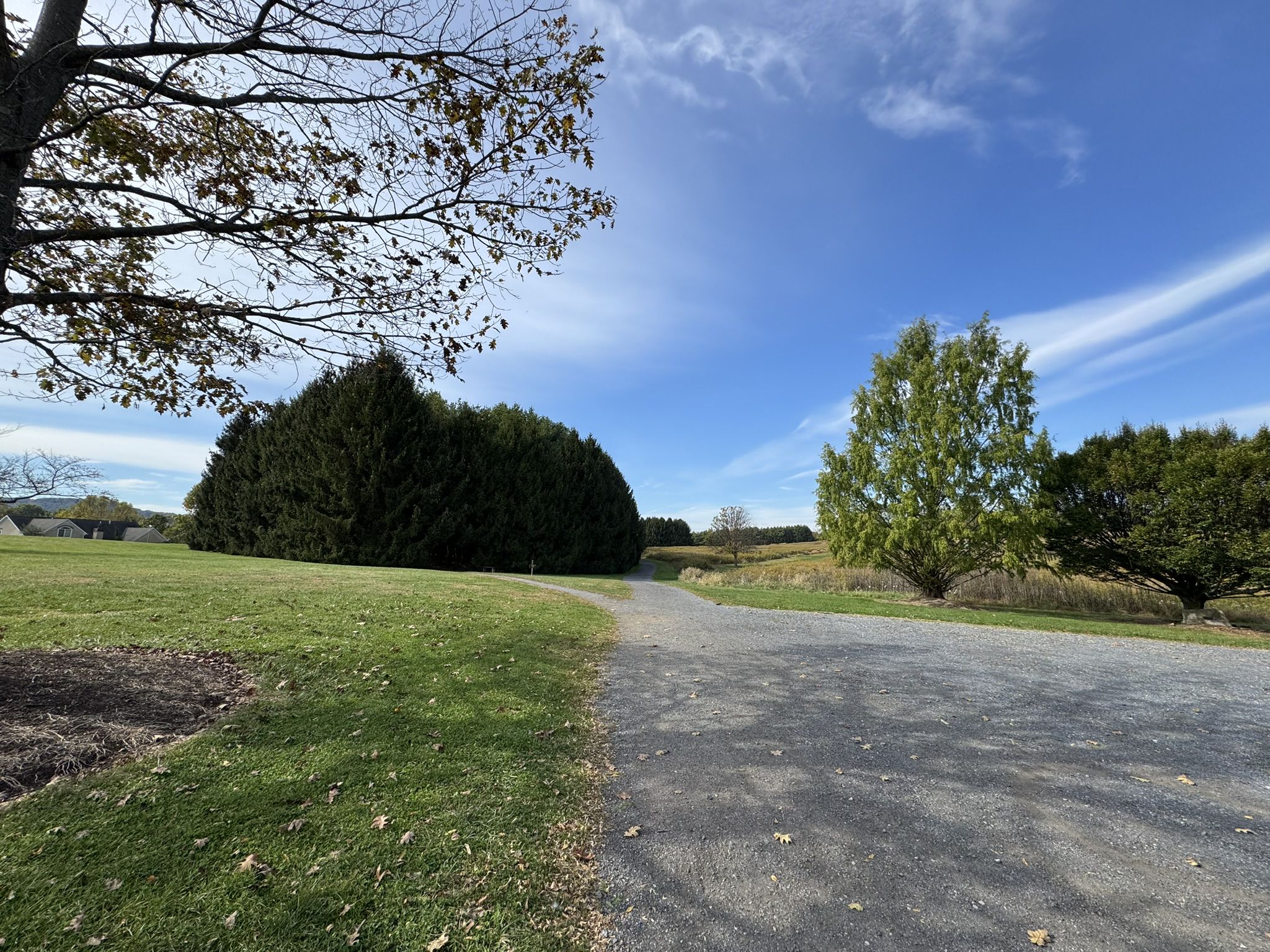 Sunny day on a gravel path next to trees and open fields. - Pinewoods and Summit Trail Loop