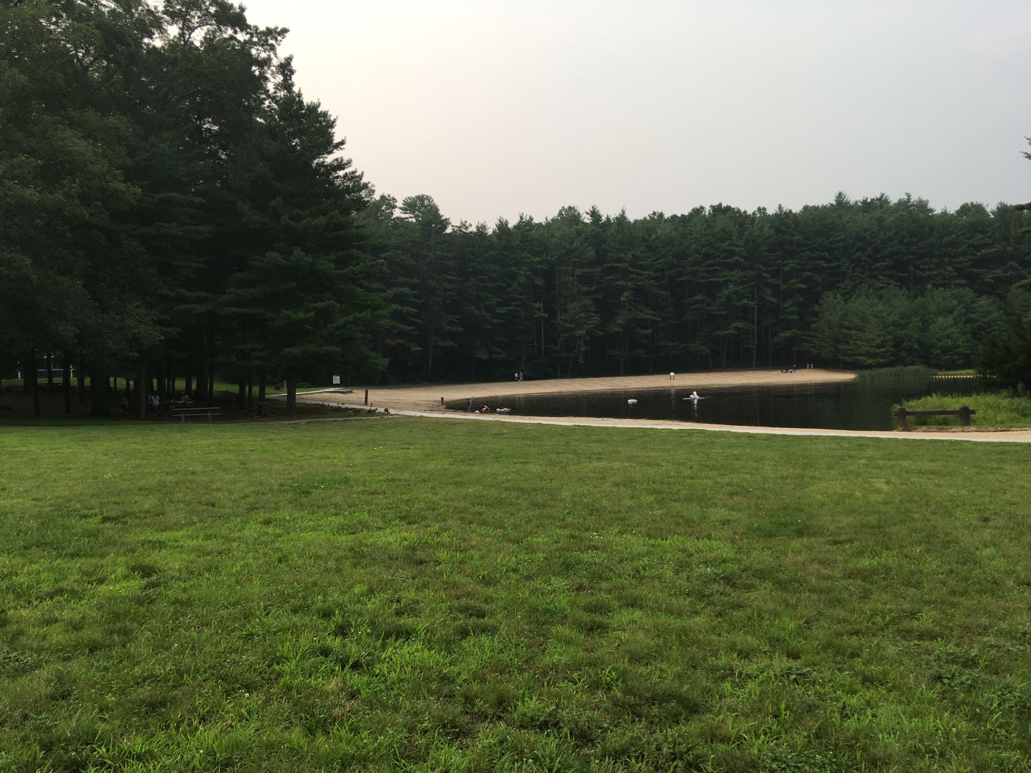 Overcast view of a grassy field leading to a lake with a sandy beach. - Running loop from Simsbury